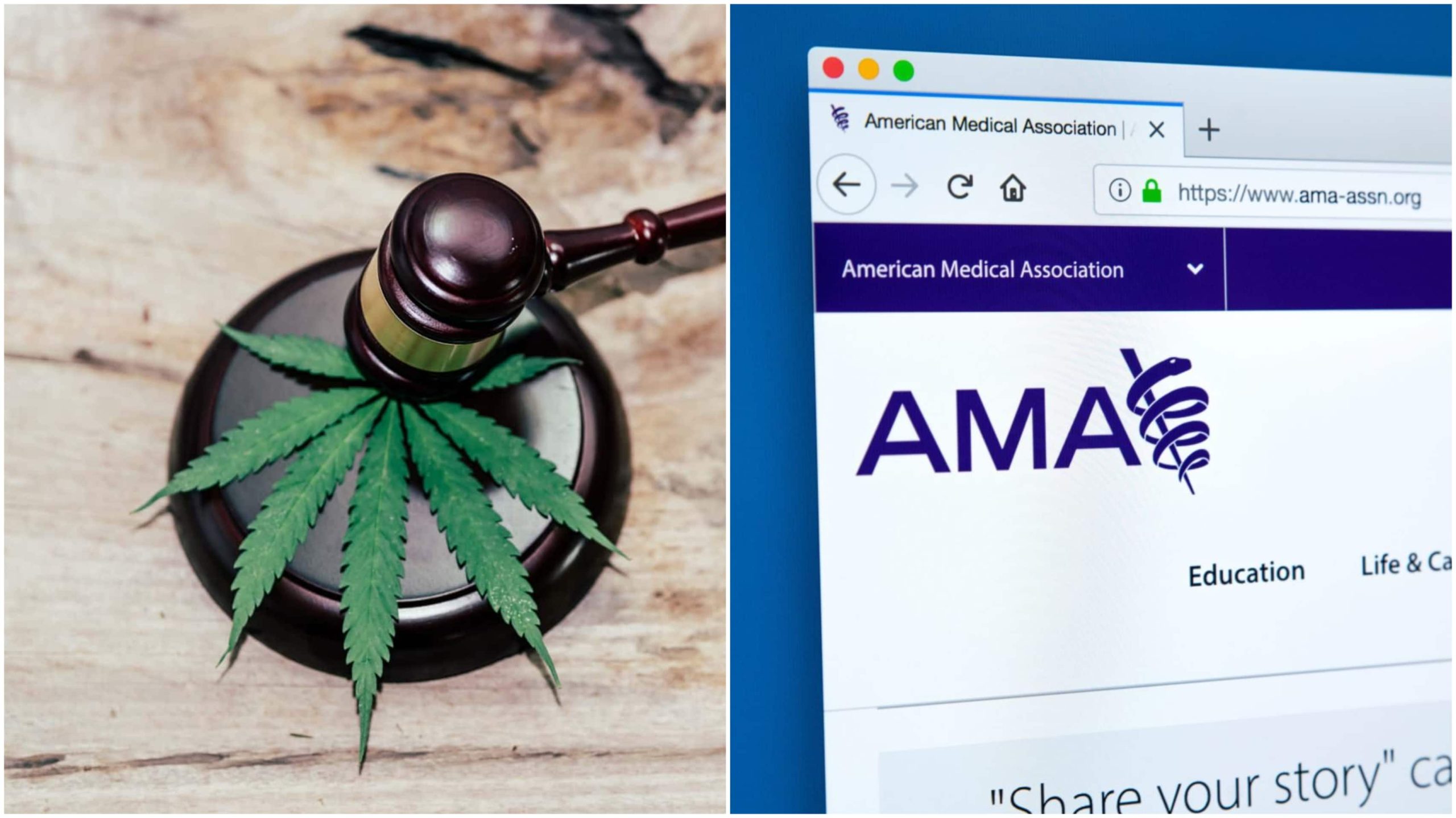 American Medical Association Adopts Cannabis Expungement Resolution