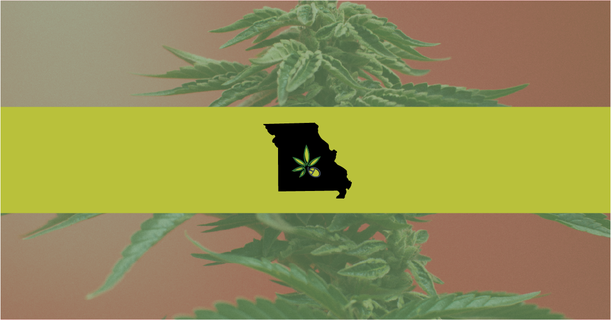 Proposed Bill Would Prohibit Discrimination Against Missouri Parents for Medical Marijuana Use