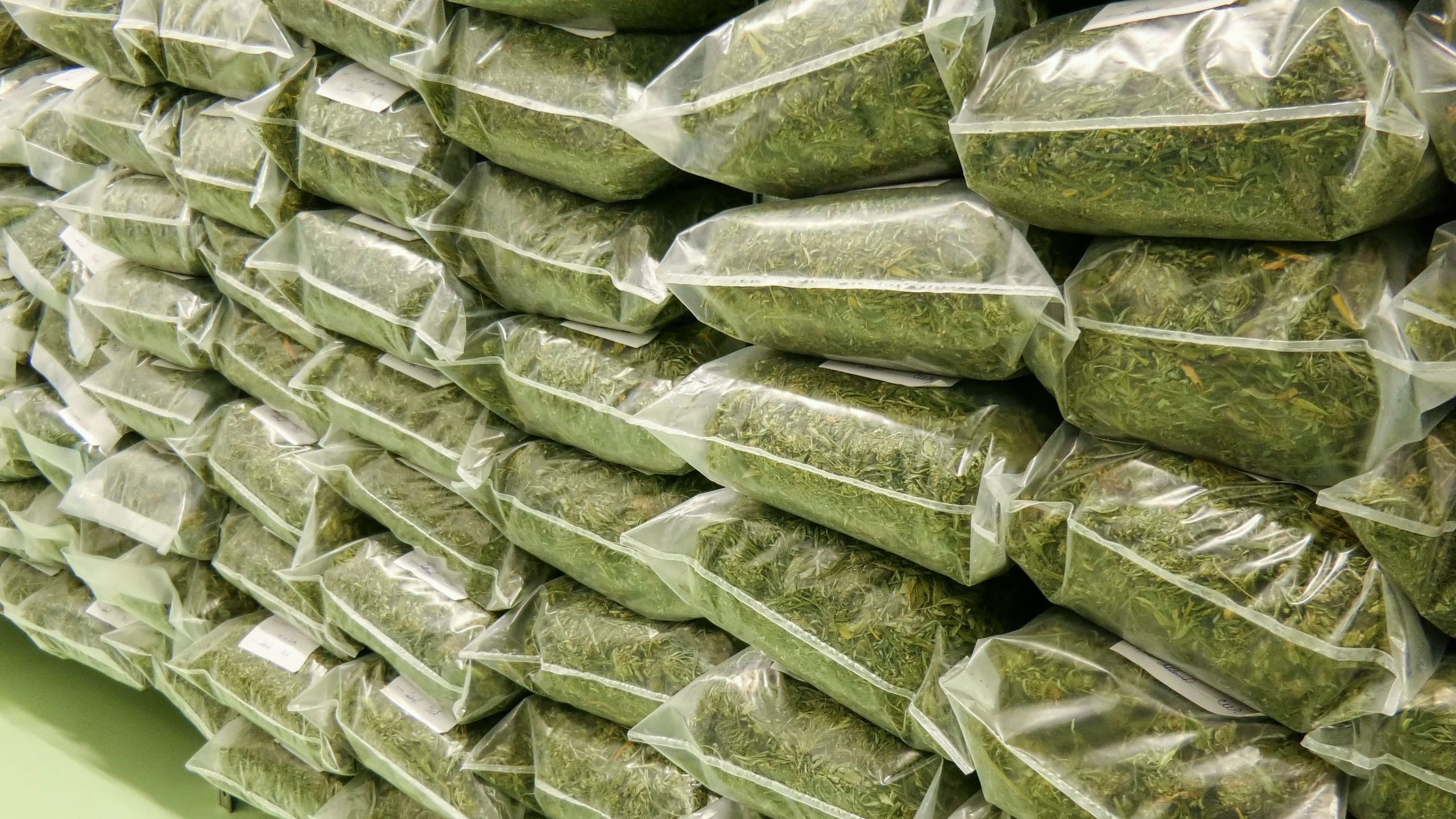 Canada Border Agency Seizes Almost 2,000 Pounds of Illegal Cannabis Export