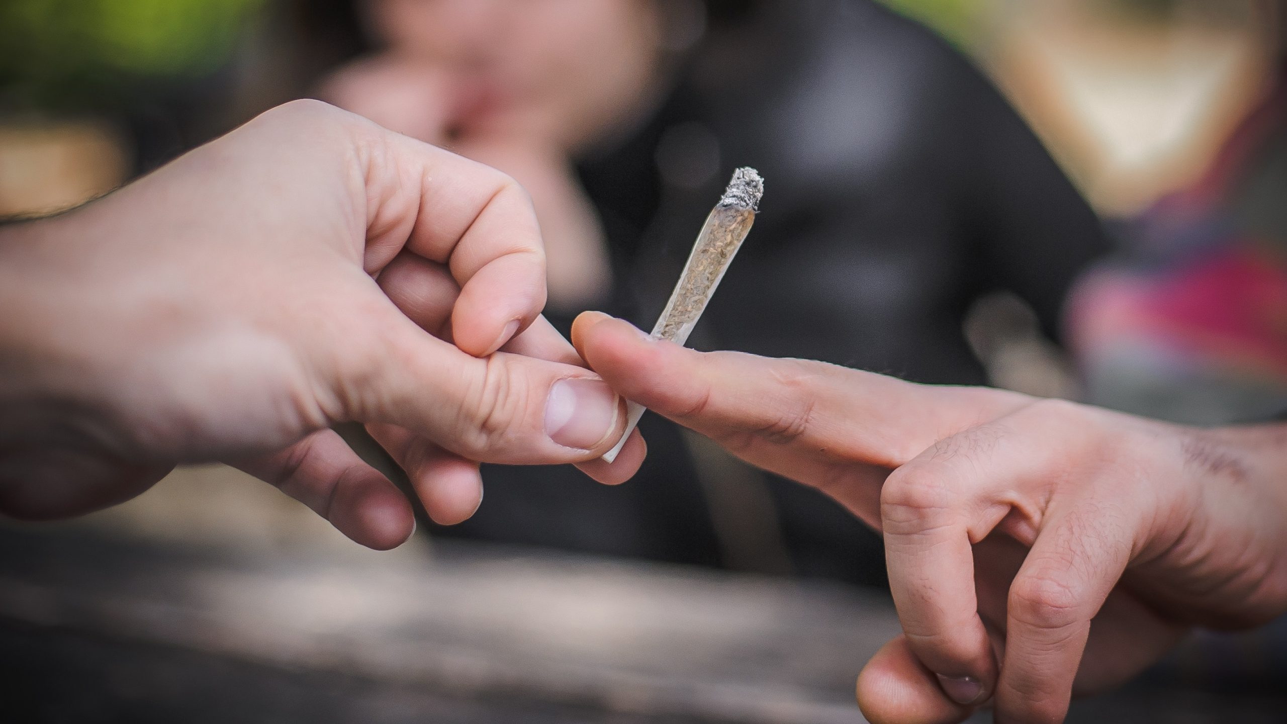 Study Shows 20% Increase in Frequency of Cannabis Consumption in Recreational States