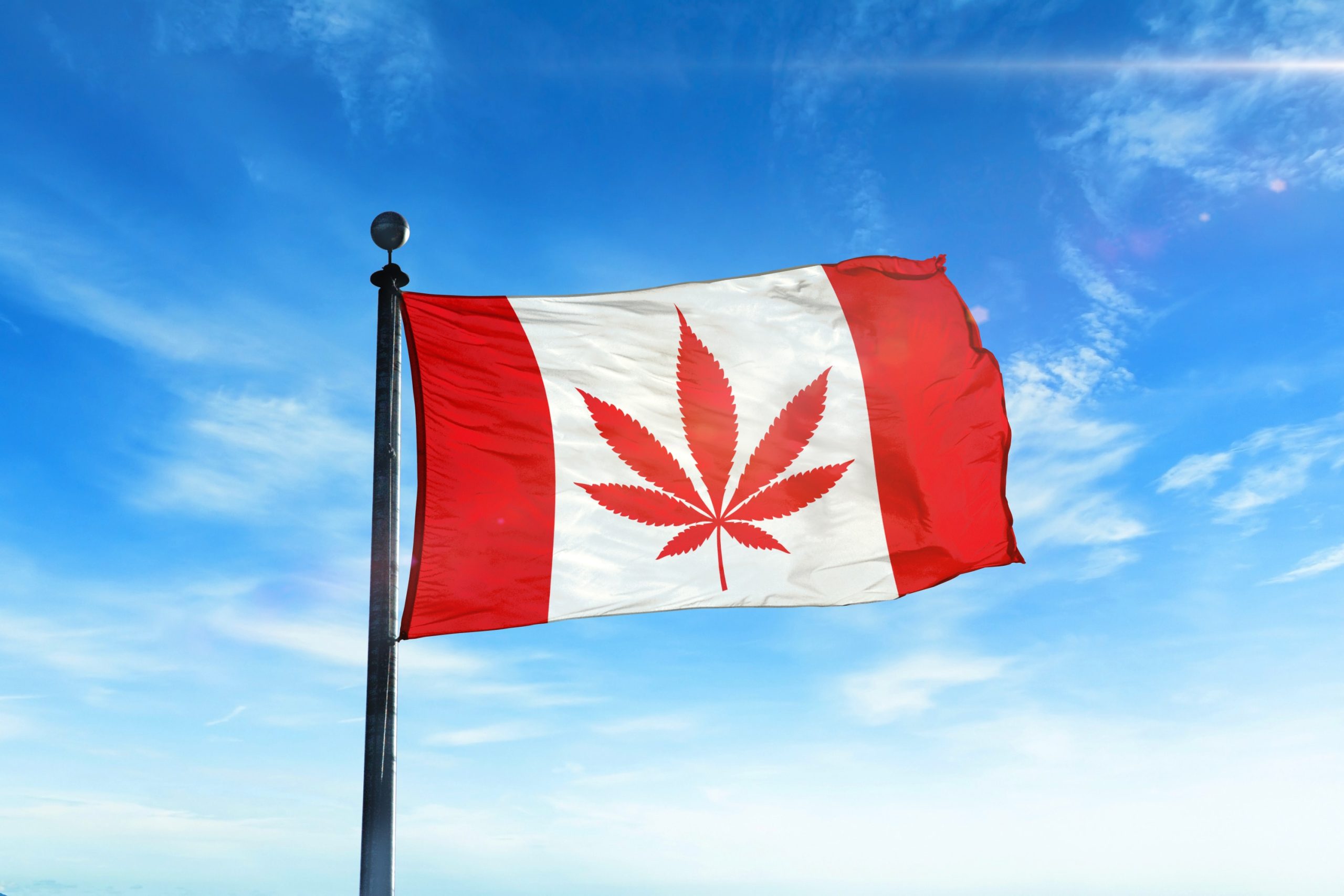 Canadian Government To Review Cannabis Legalization