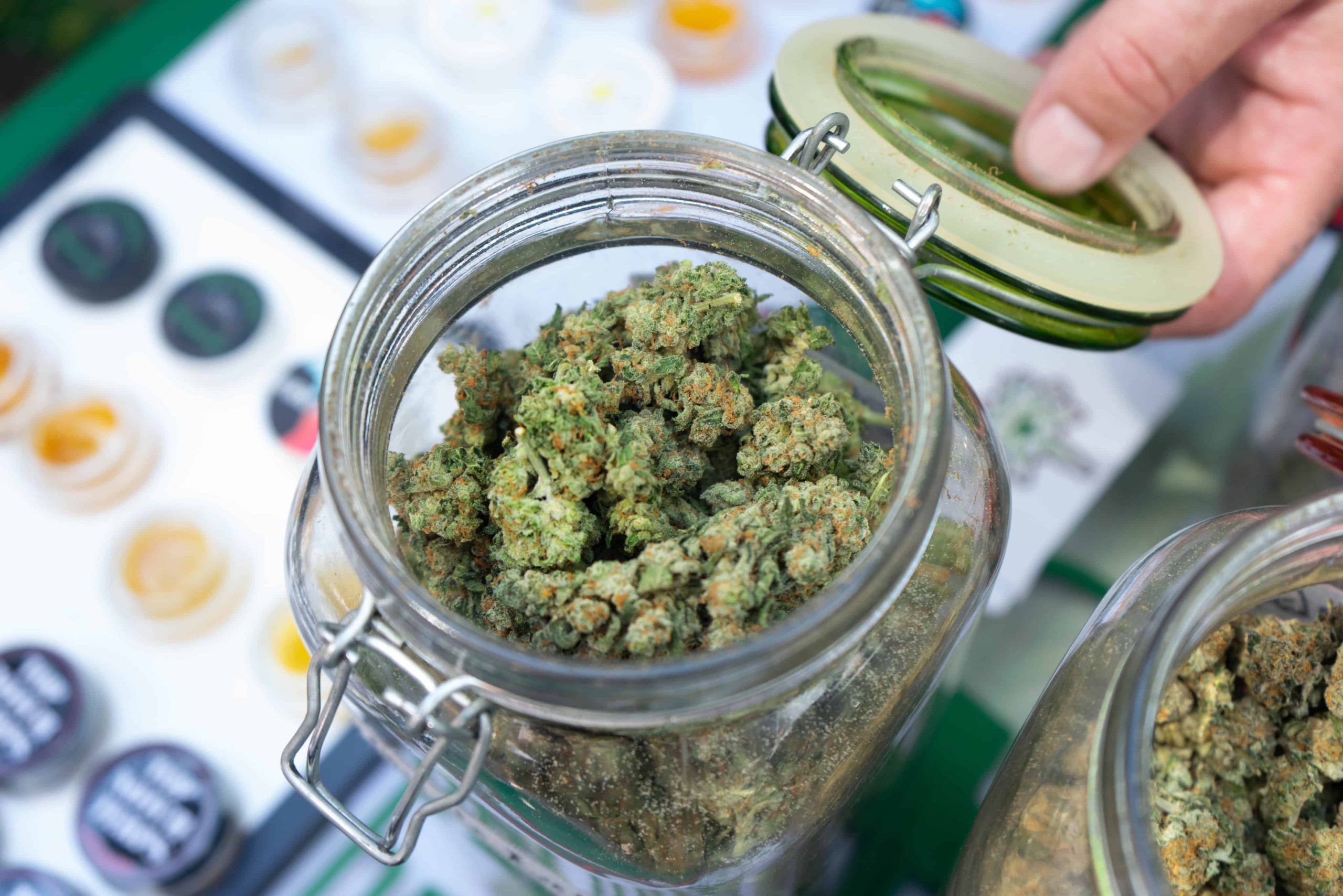 Applications for Recreational Cannabis Licenses Open in Detroit