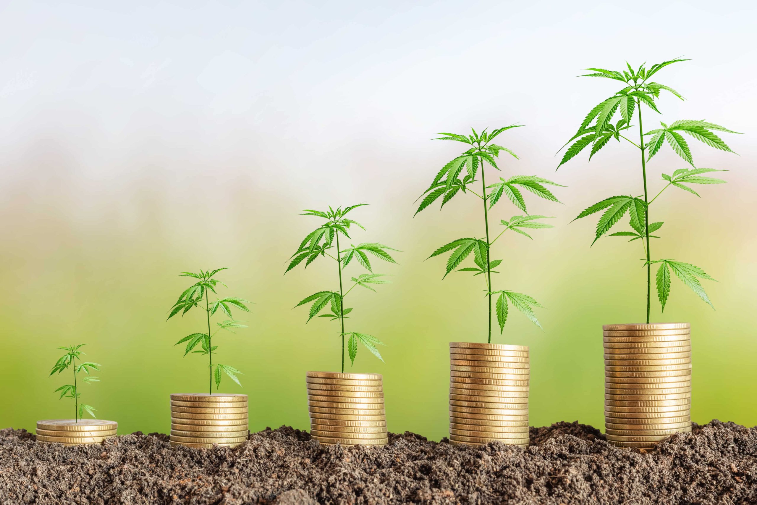 New Poll Shows Overwhelming Support for Cannabis Banking Legislation