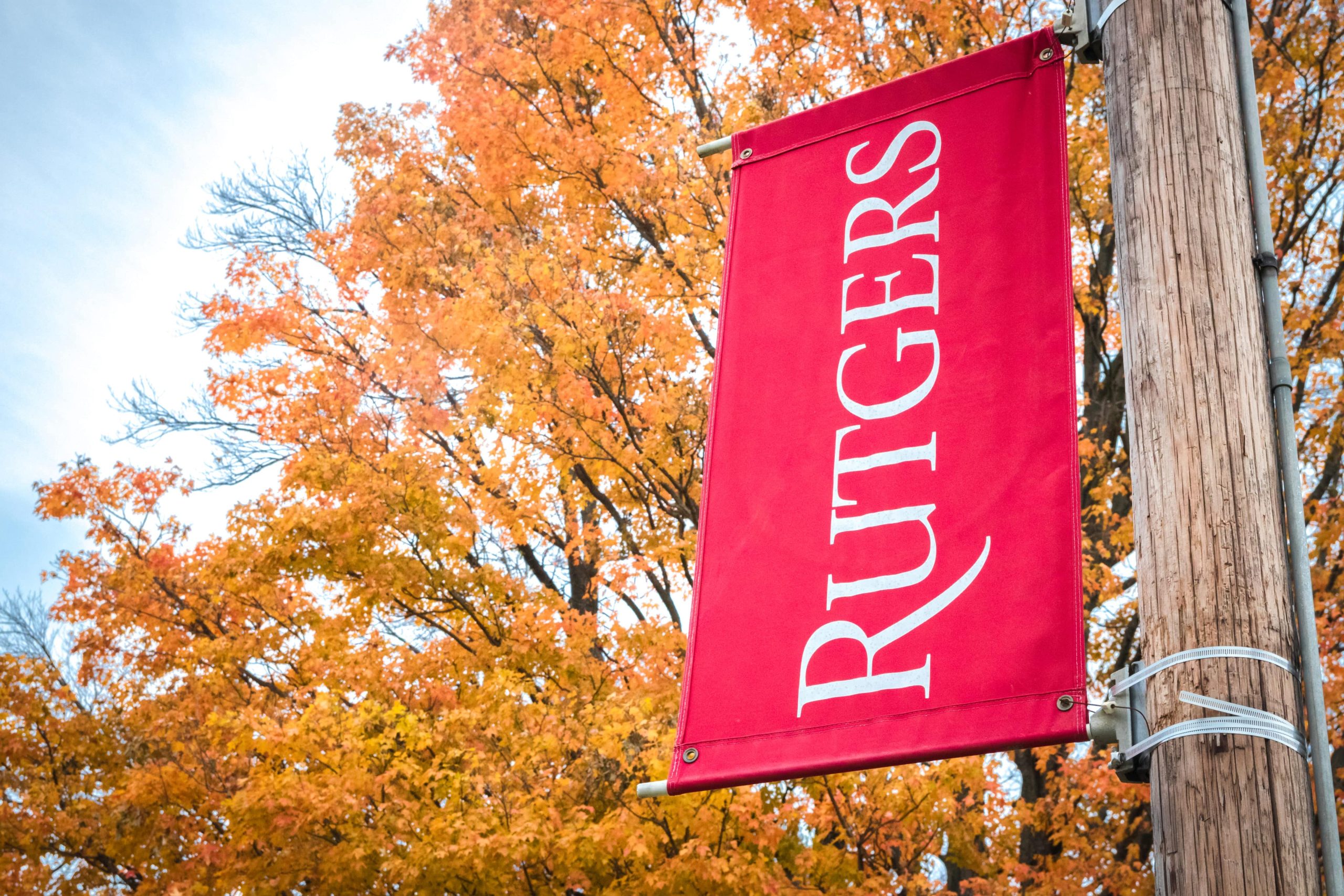 Rutgers Law School Adds Cannabis Law, Business Certificate for 2023