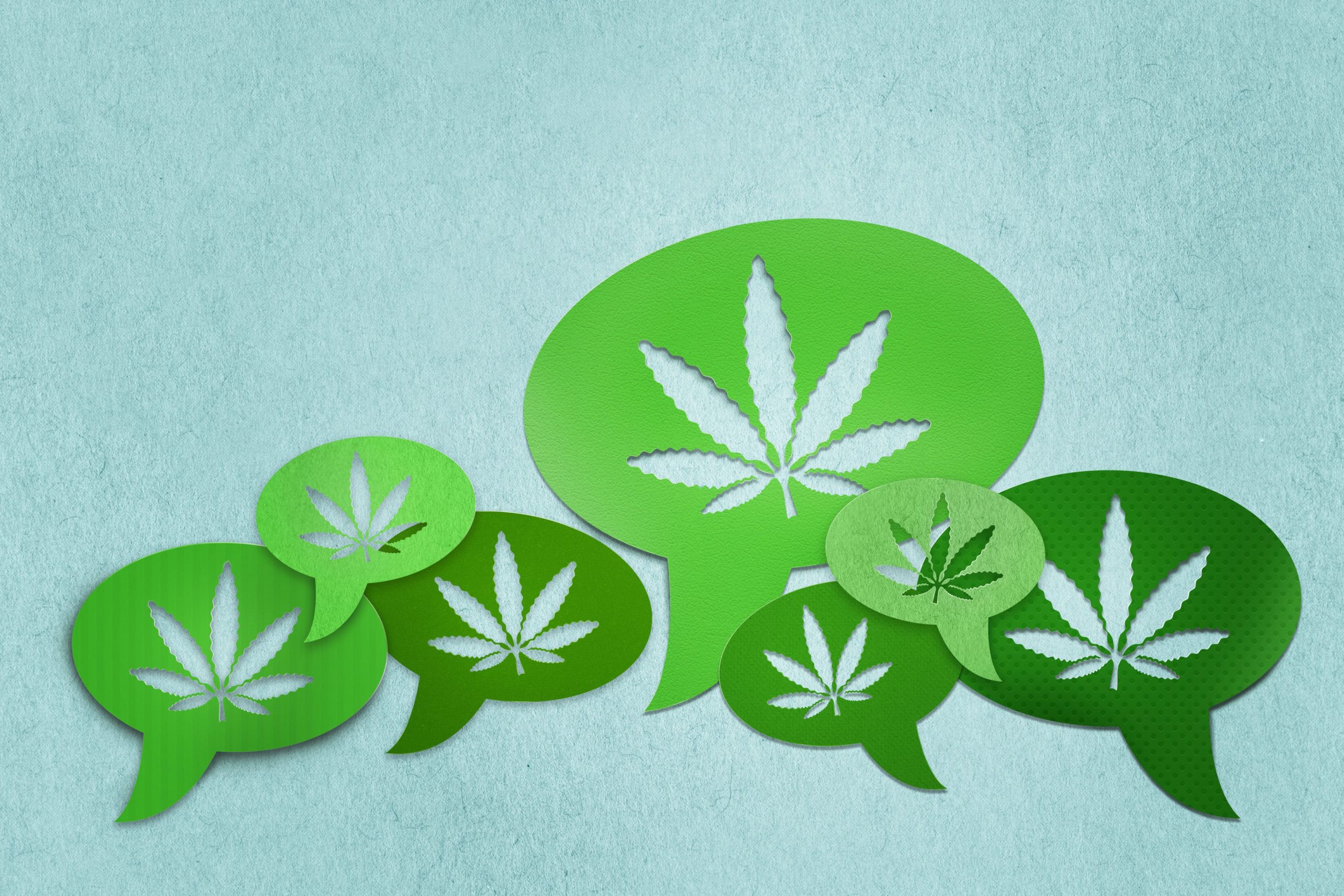 Five Cannabis Word Origins