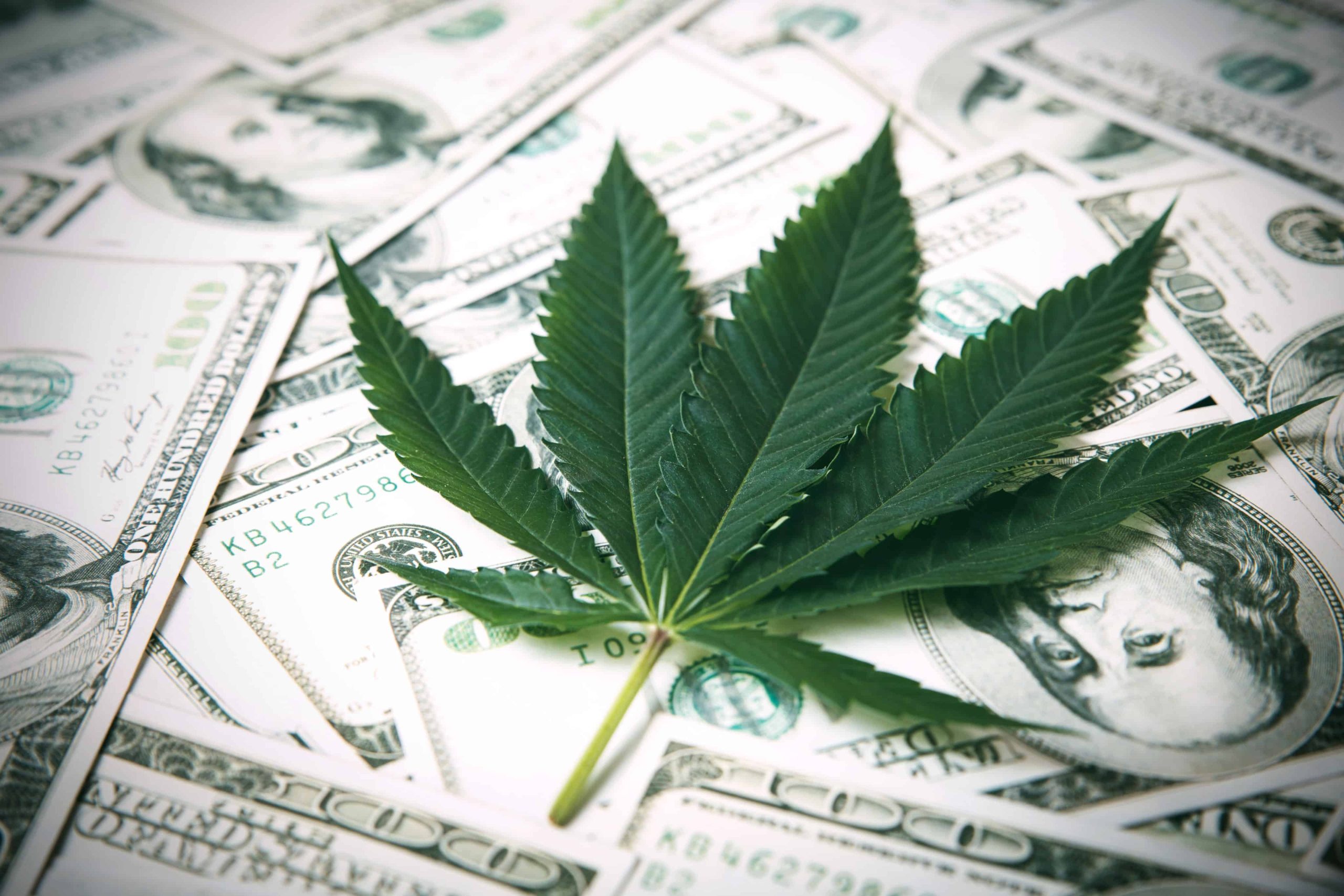 Cannabis Had Highest Tax Revenue in Colorado and Washington Over Alcohol, Cigarettes