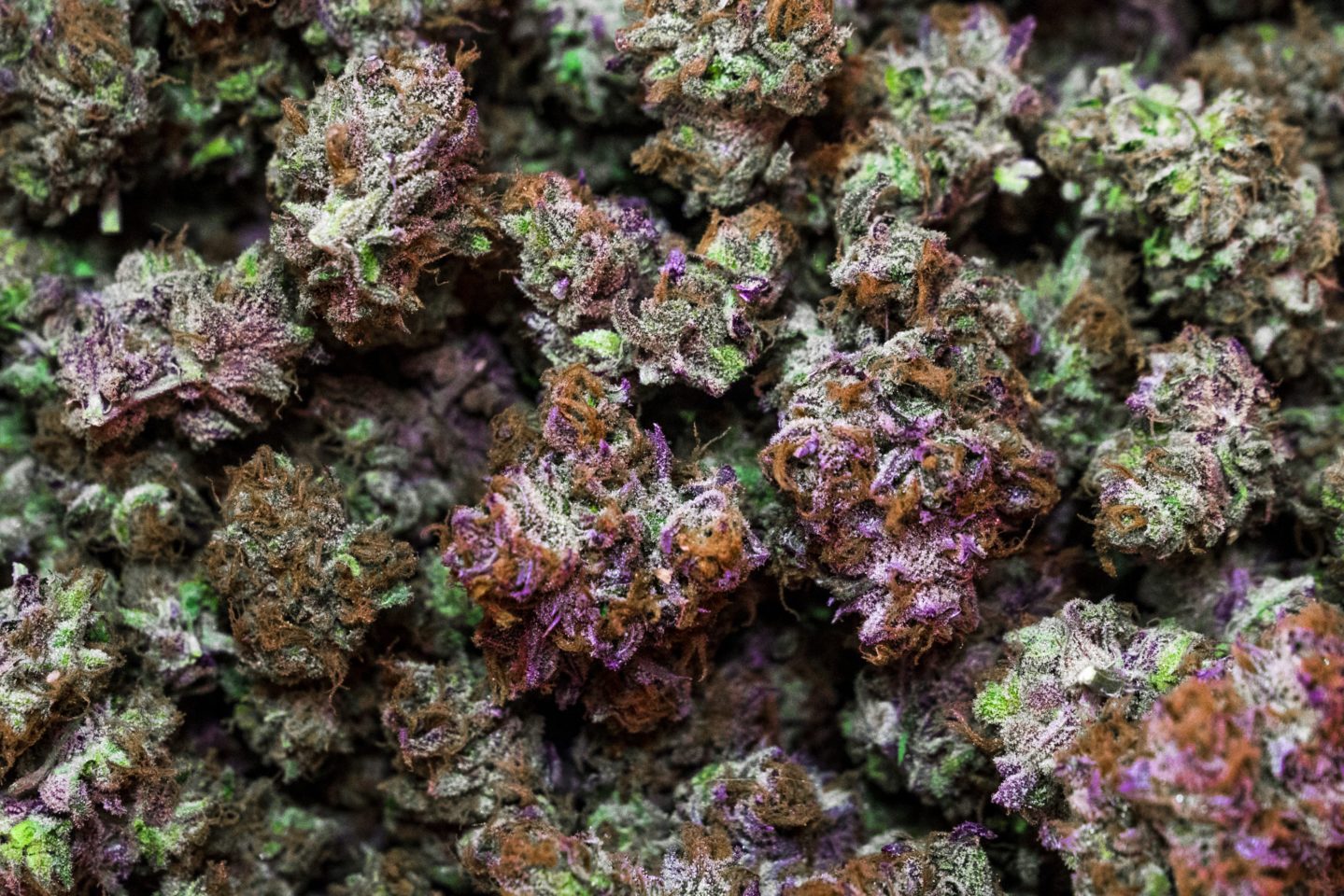 New York Regulators Release Guidelines For Cannabis Retailers
