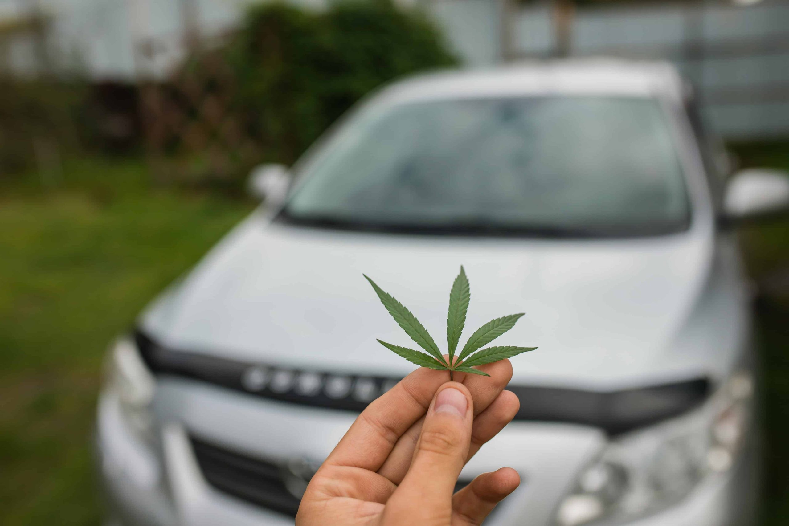 Only a Quarter of Virginia Drivers Said Driving on Pot is ‘Extremely Dangerous,’ Survey Shows
