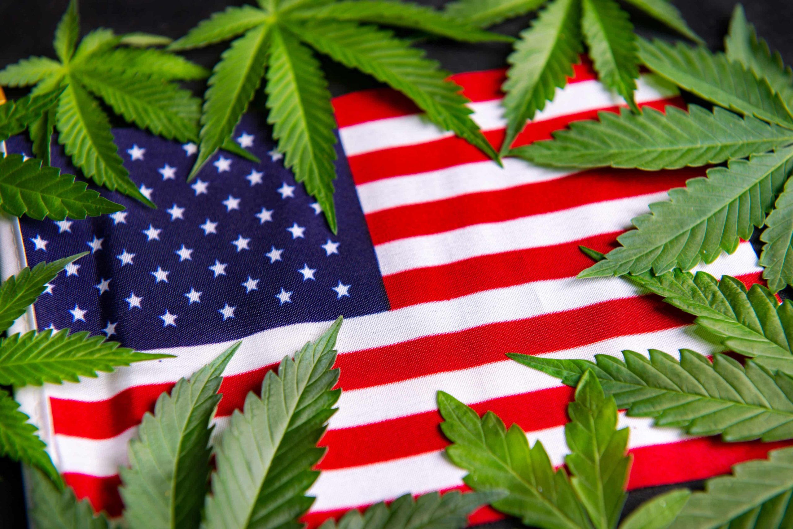 Cannabis Companies and Organizations That Continually Strive To Support Veterans