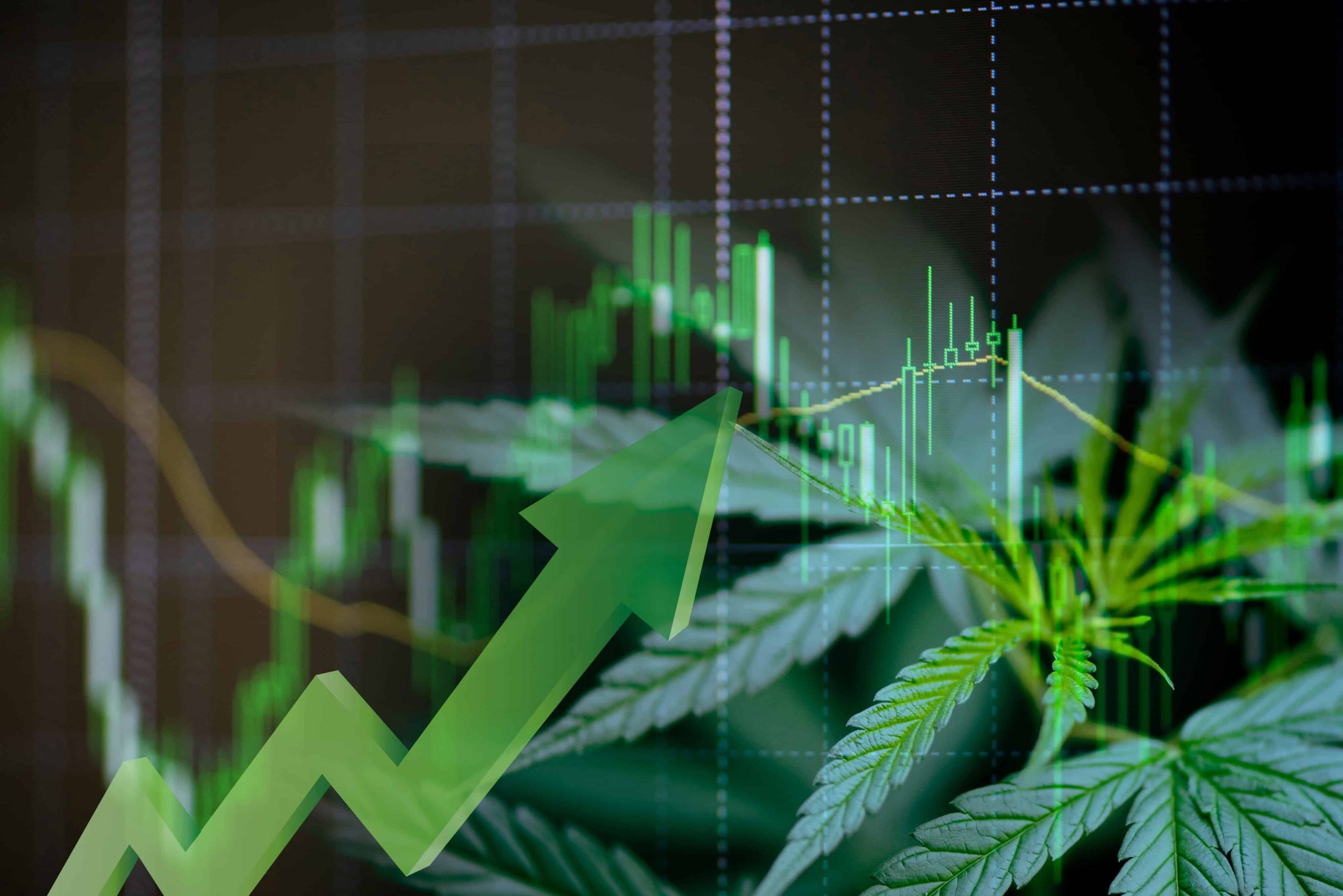 Legislative Report Projects $72 Billion Cannabis Industry By 2030