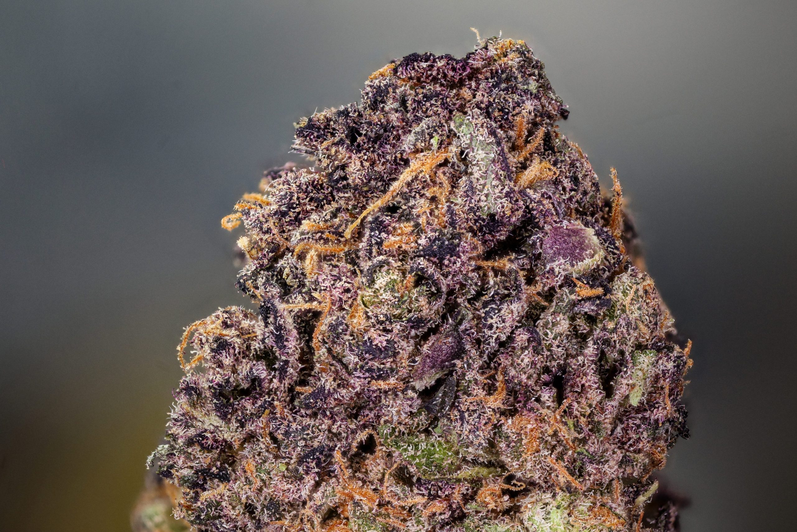 Illinois Governor Appoints New Top Cannabis Regulator