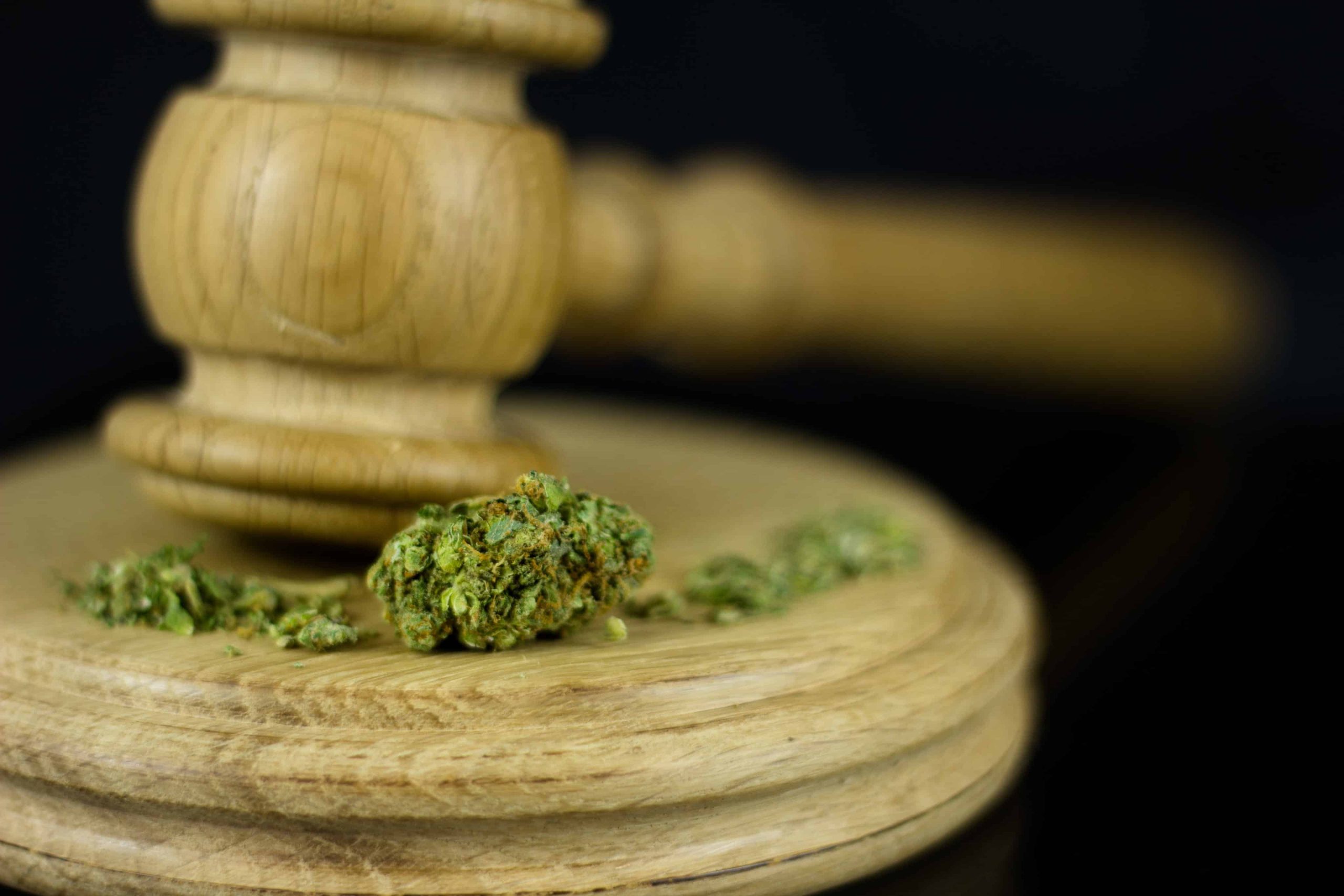 Study Finds Weed Cases Are Clogging Pennsylvania Courts