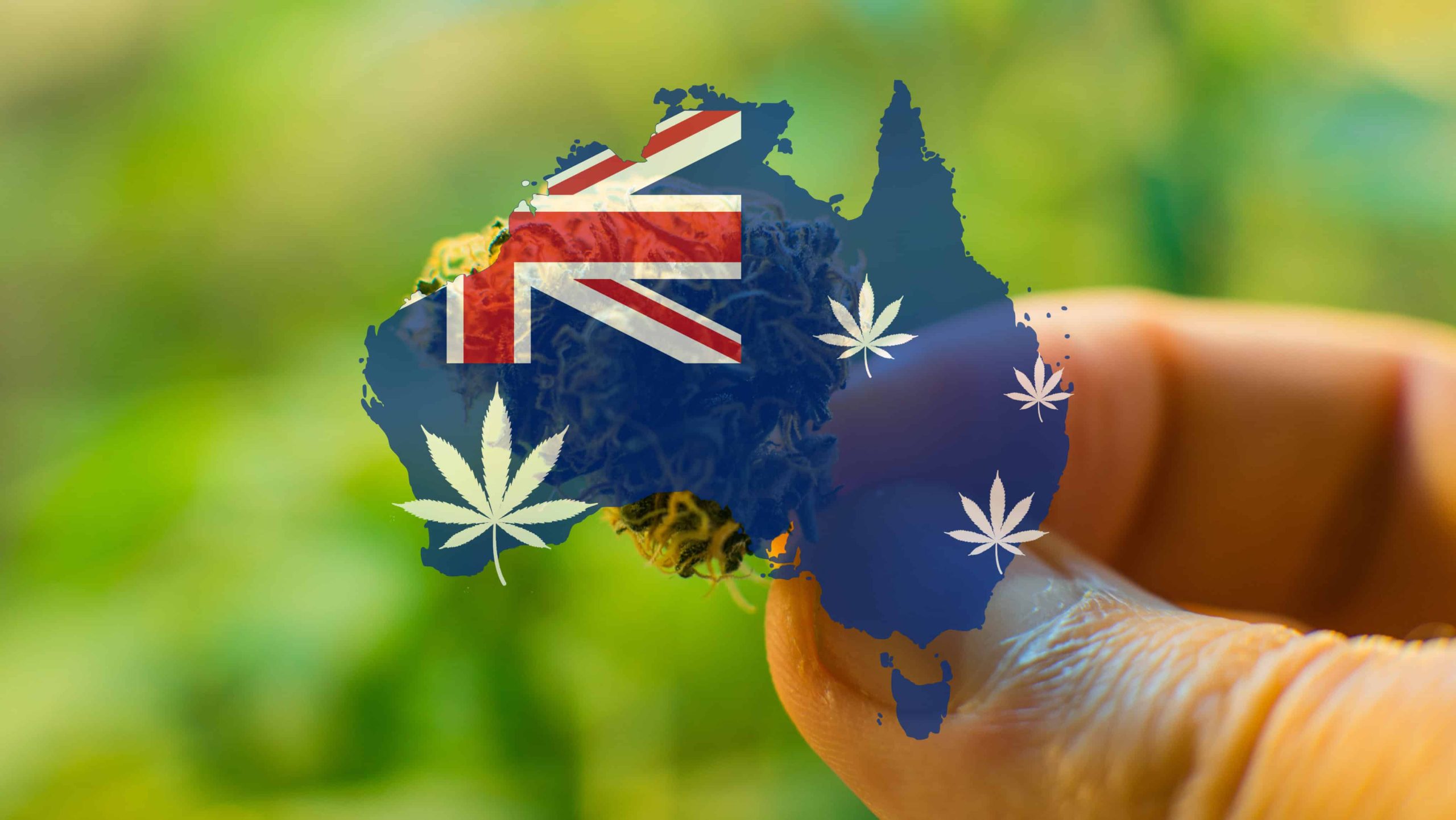 Australian Residents Could Save $850 Million Annually if Cannabis is Decriminalized