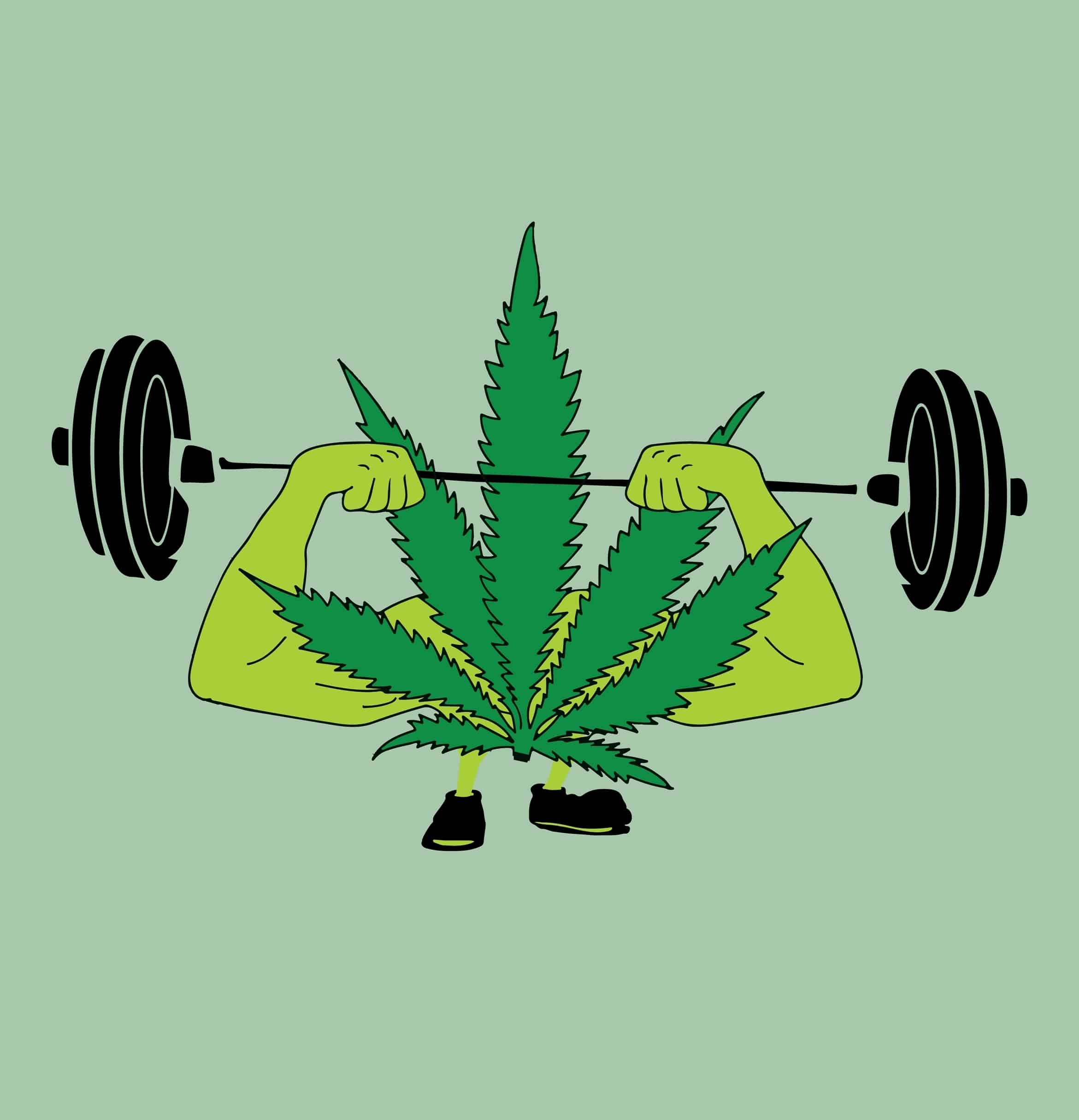 I’m an Average Dude in His Mid-30s. Can Weed Help Me at the Gym?