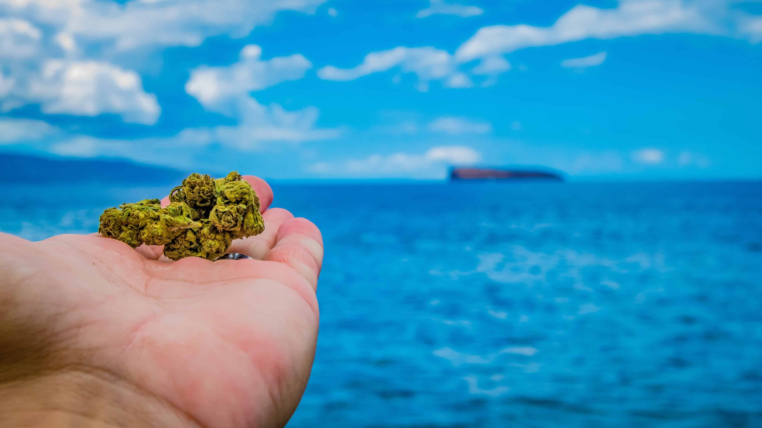 Hawaii Representative Announces Plan To Legalize Pot in 2023