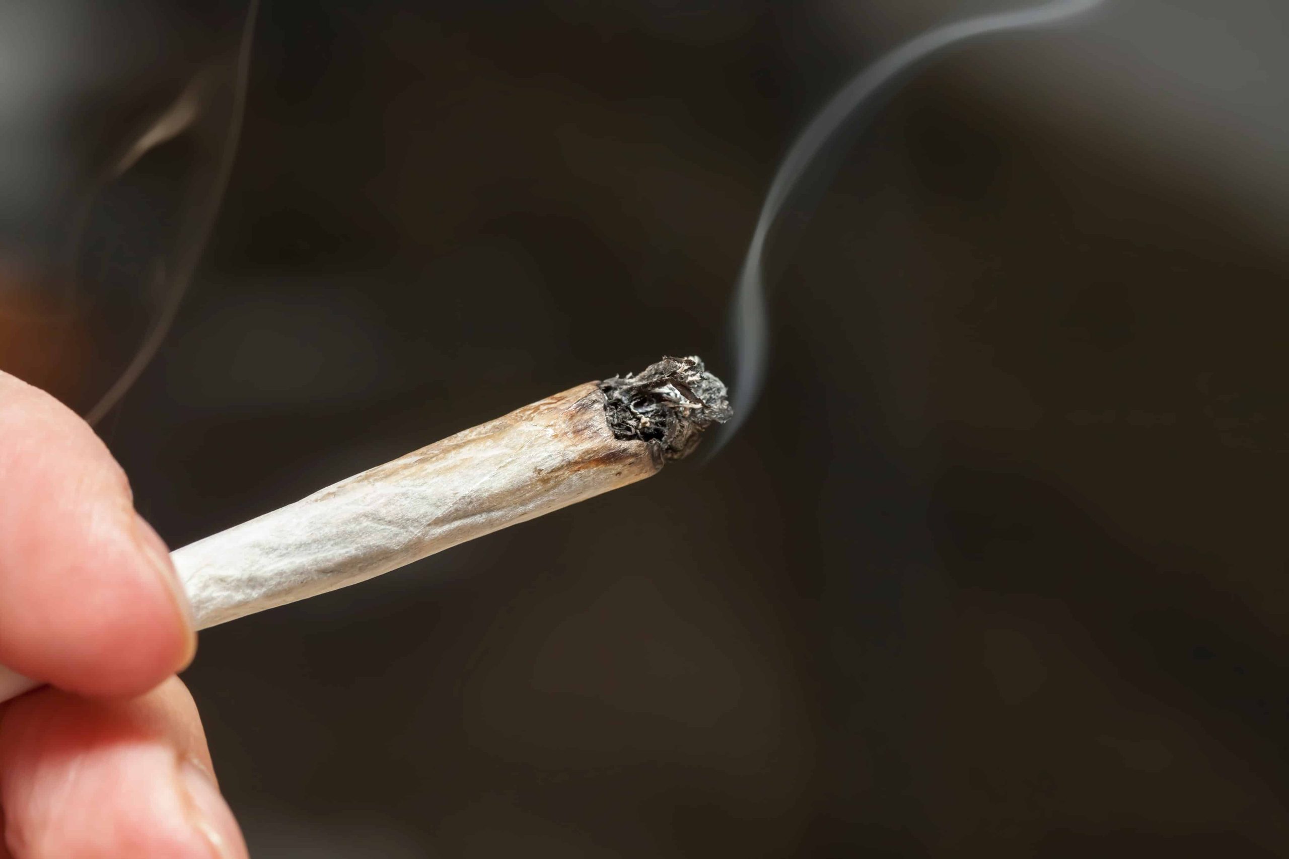 Growing Number of Canadian Weed Consumers Source Products Legally