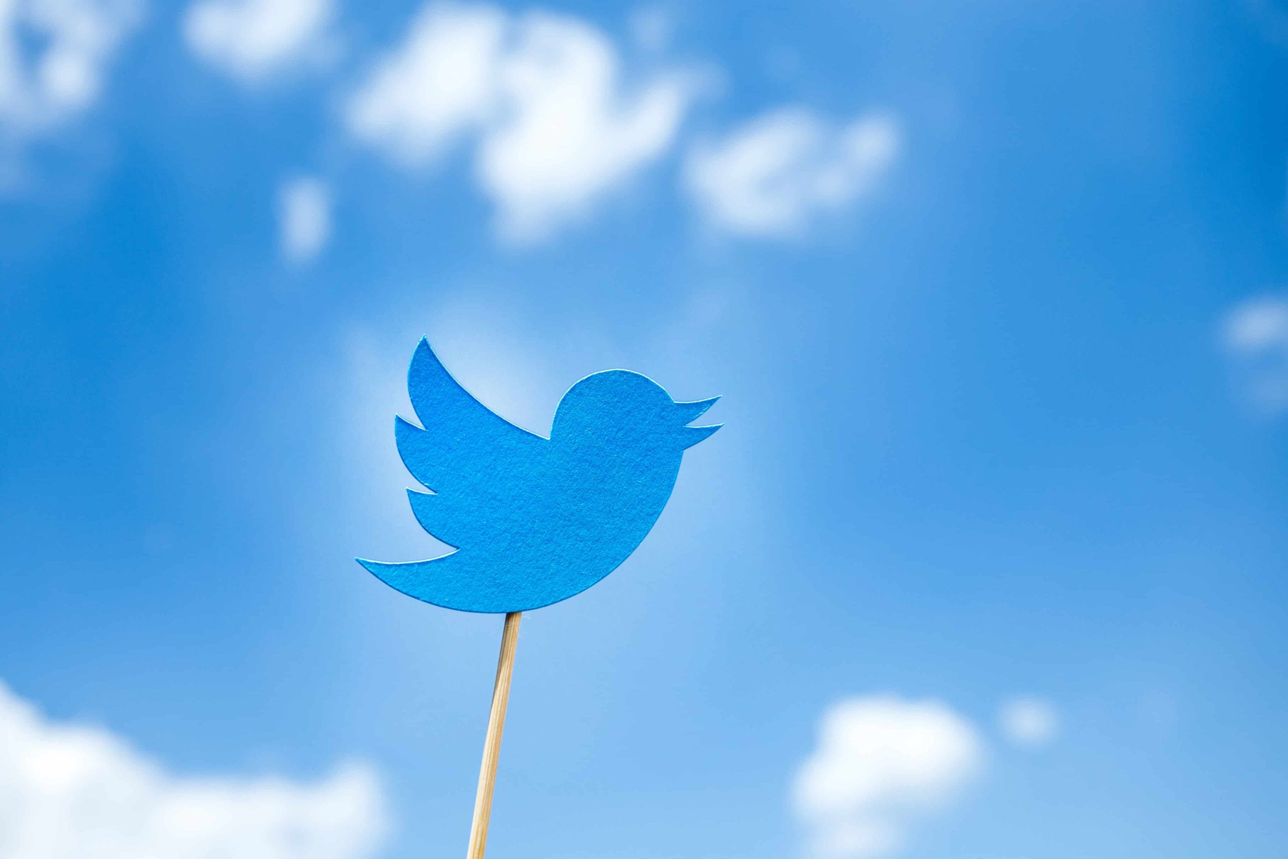 Twitter To Allow THC, CBD, and Related Ads in U.S.