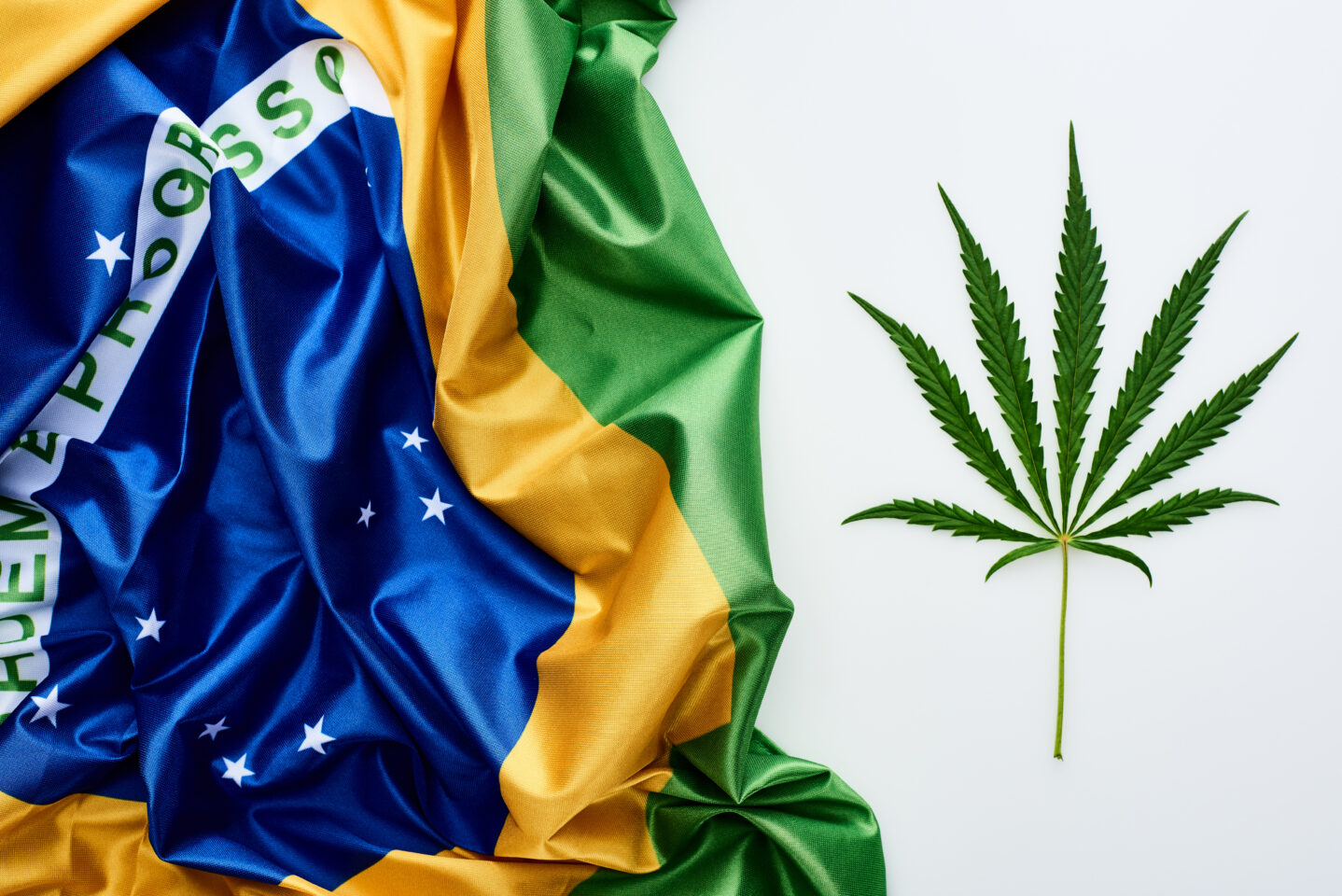 Court Ruling Could Lead to Cannabis Planting in Brazil
