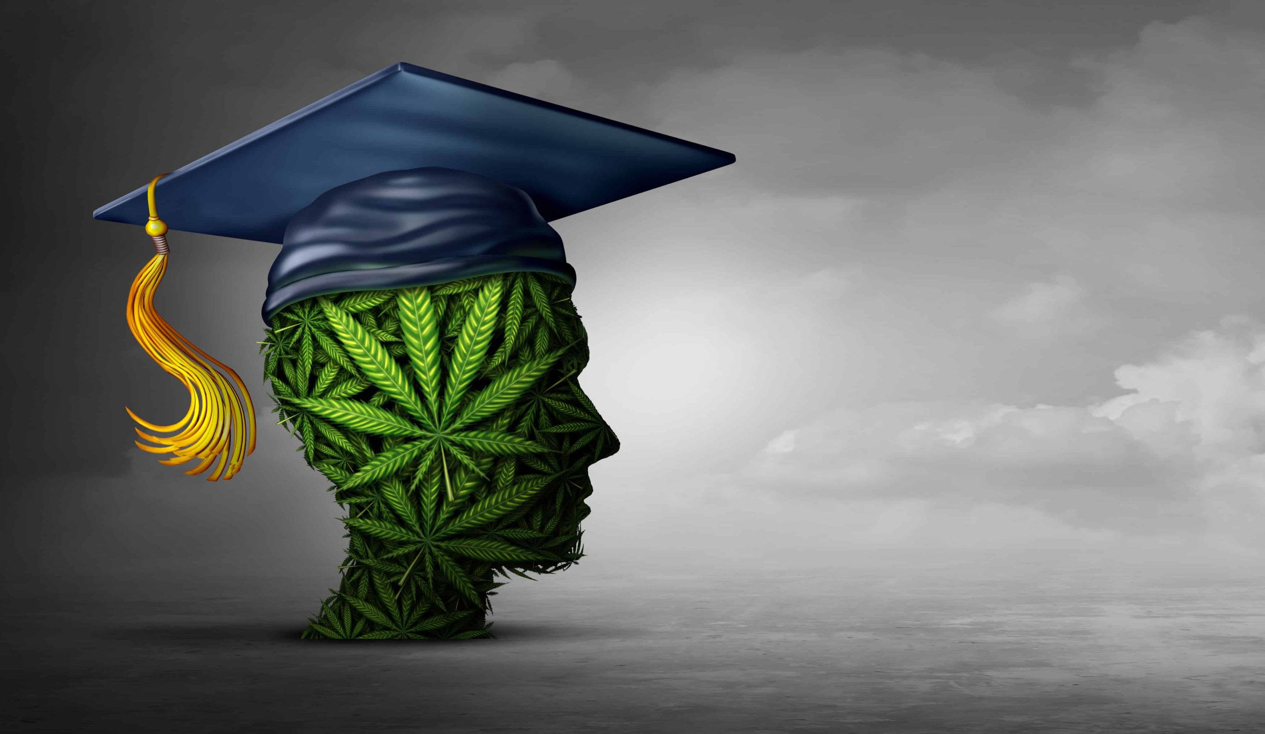 California Cannabis Department Grants Nearly $20 Million to Academic Institutions