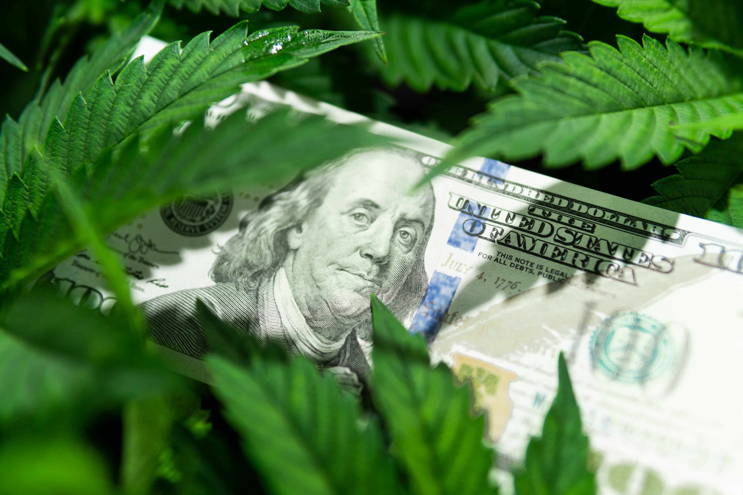 Colorado Launches Loan Program for Cannabis Social Equity Businesses