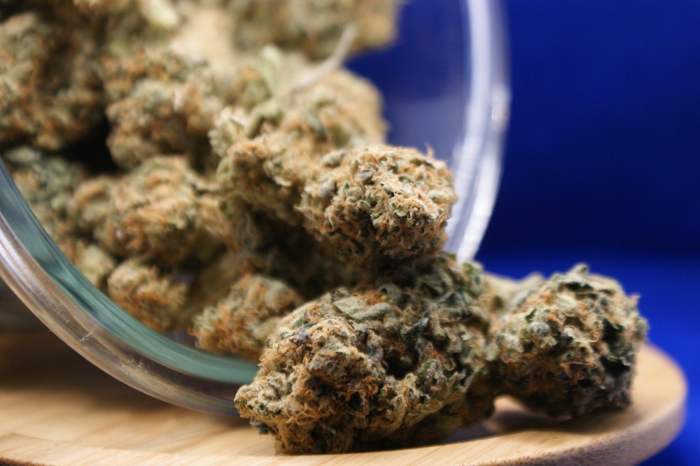 New Mexico Recreational Cannabis Sales Top $300 Million In First Year