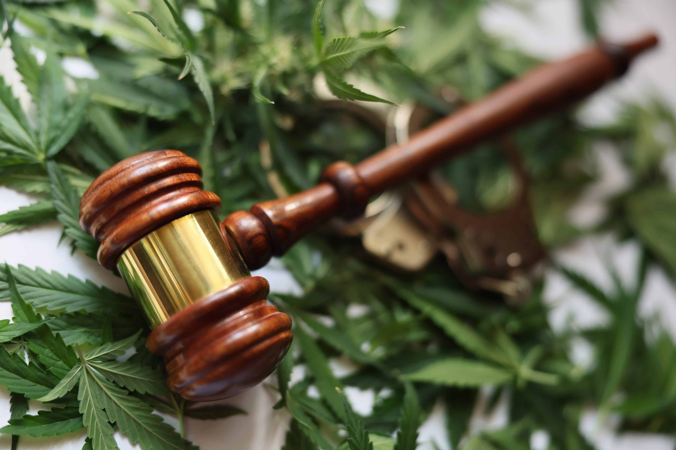 House Lawmakers Reintroduce Bipartisan Cannabis Expungement Bill