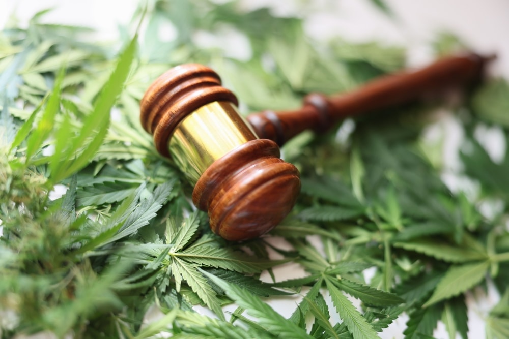 Connecticut Prosecutors Drop 1,500 Cannabis Charges