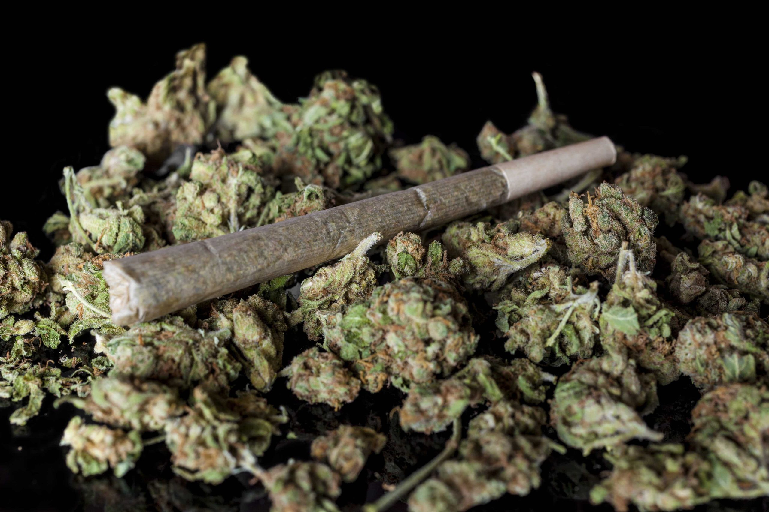 Washington Bill Would Ban Pre-Employment Drug Testing for Cannabis