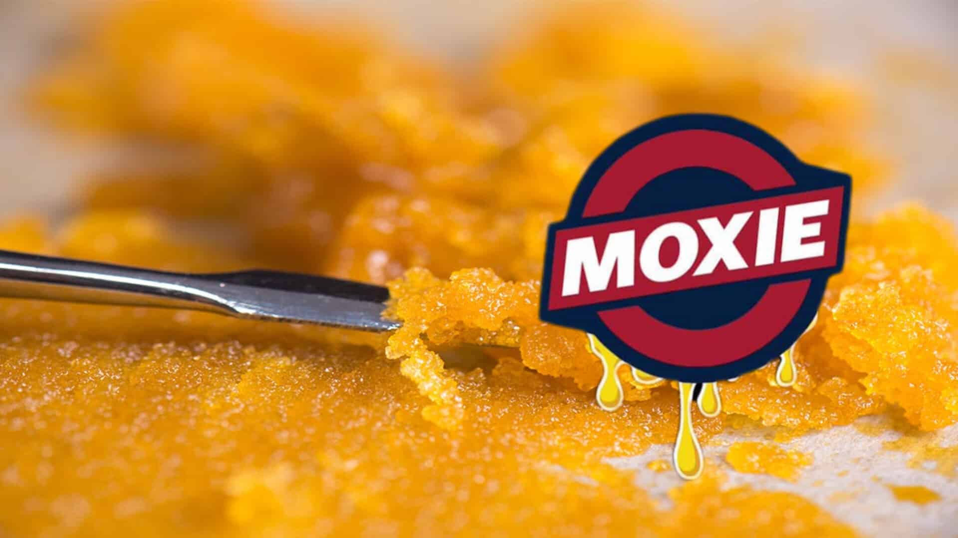 Moxie: A California Legacy With a History of Quality