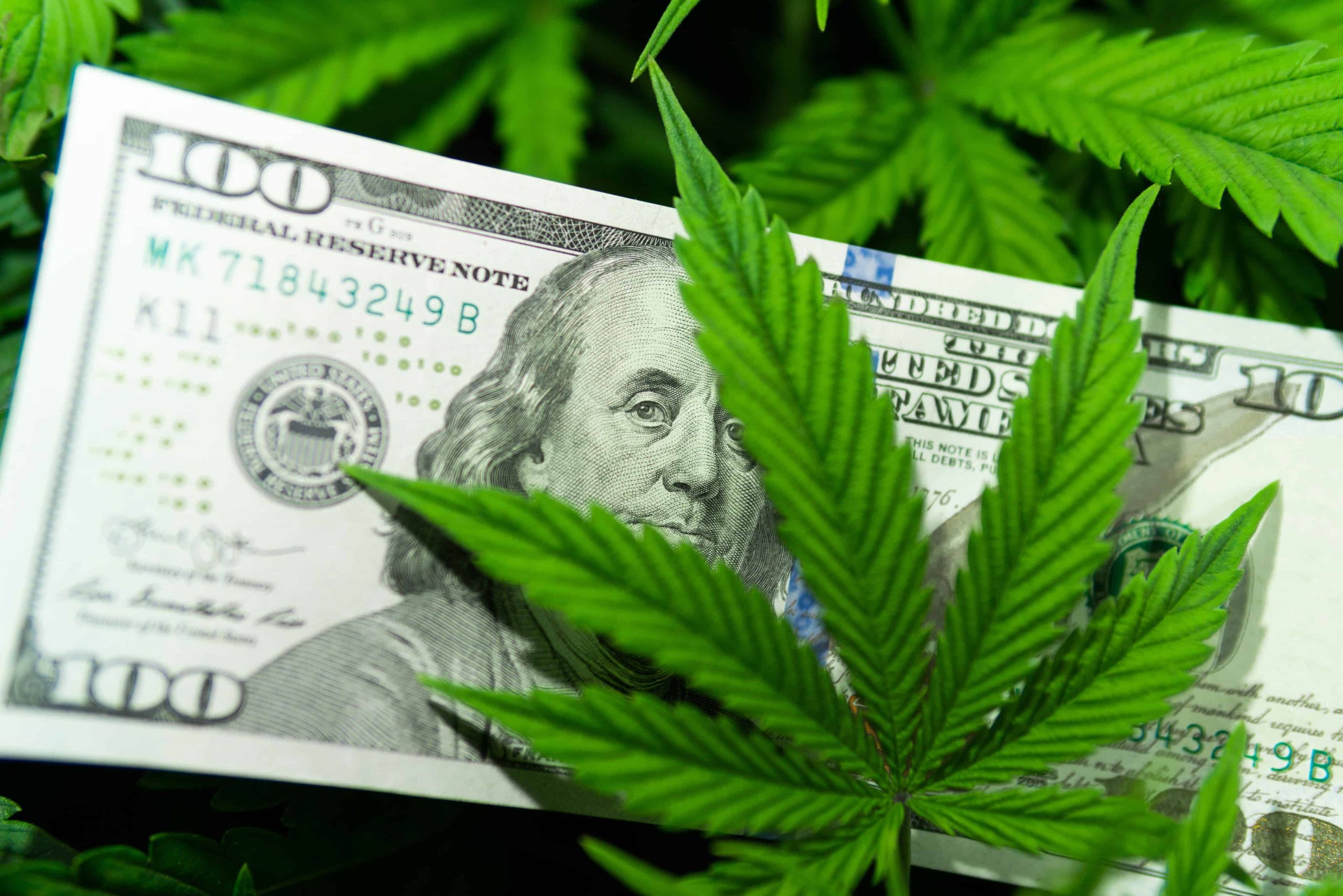 Montana Lawmakers Approve Cannabis Tax Bill
