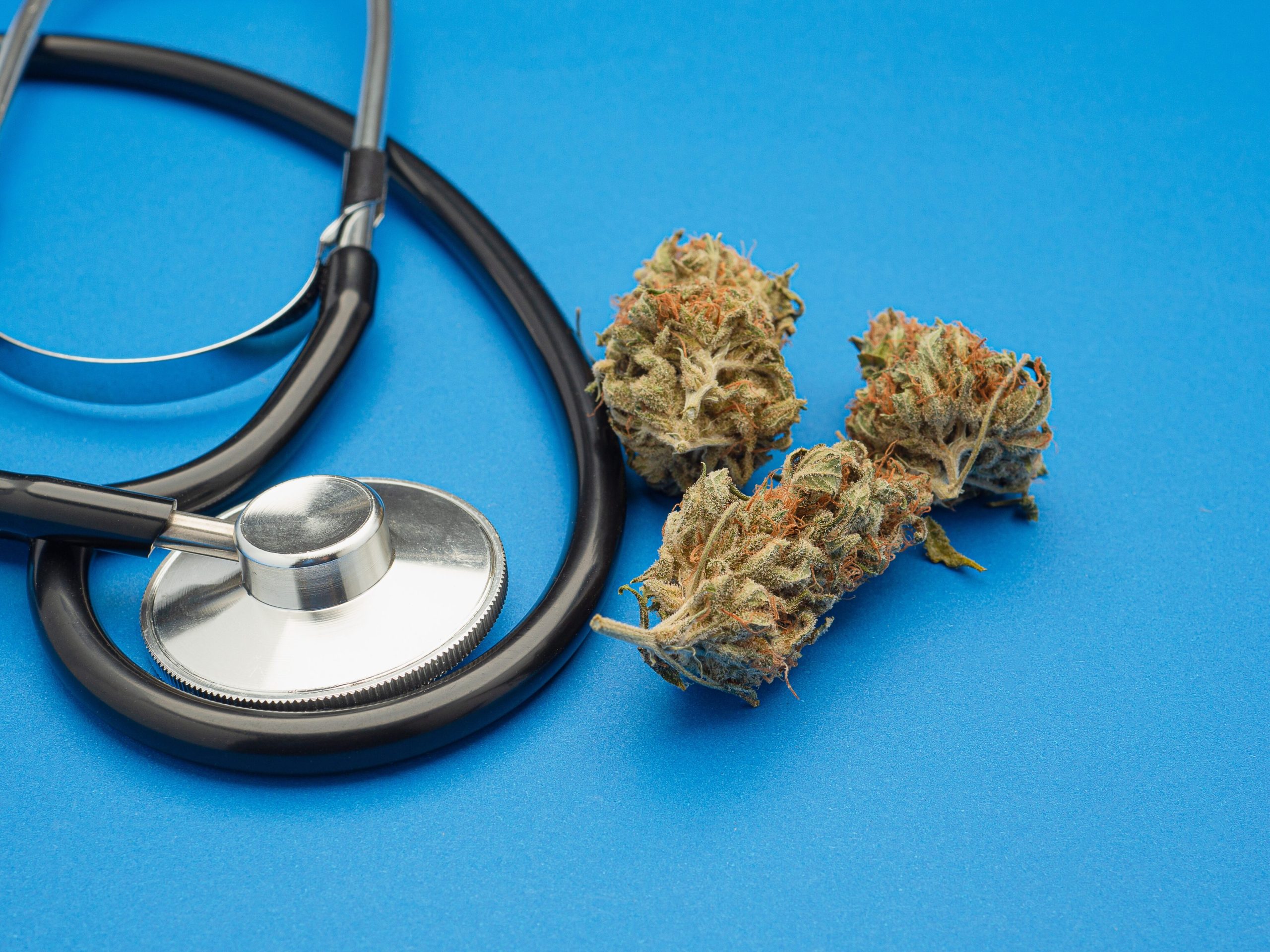 Survey: Most Physicians Report Lack of Medical MJ Knowledge To Guide Treatments
