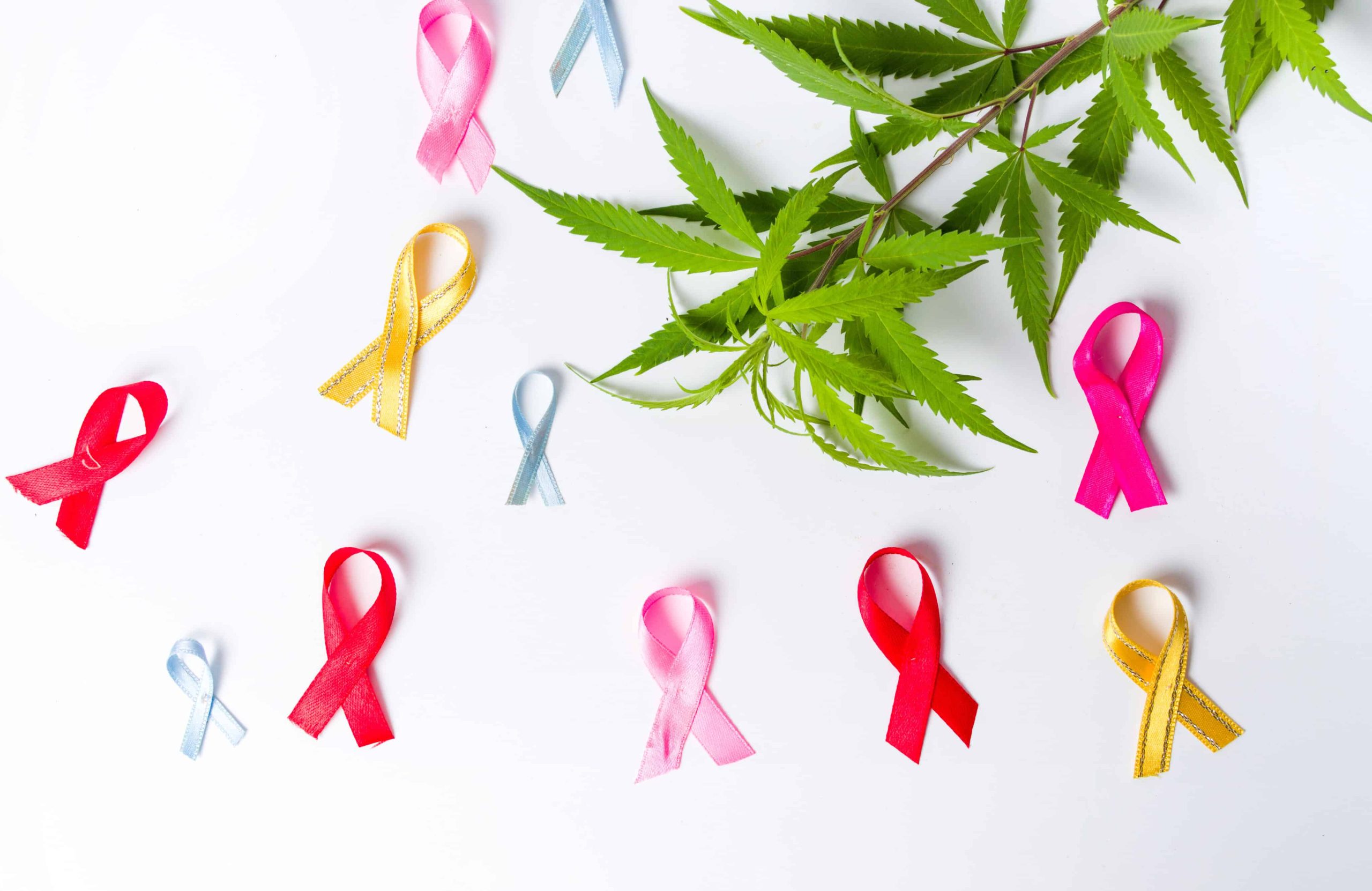 New Study Finds Cannabis A Safe, Effective Treatment For Cancer Pain