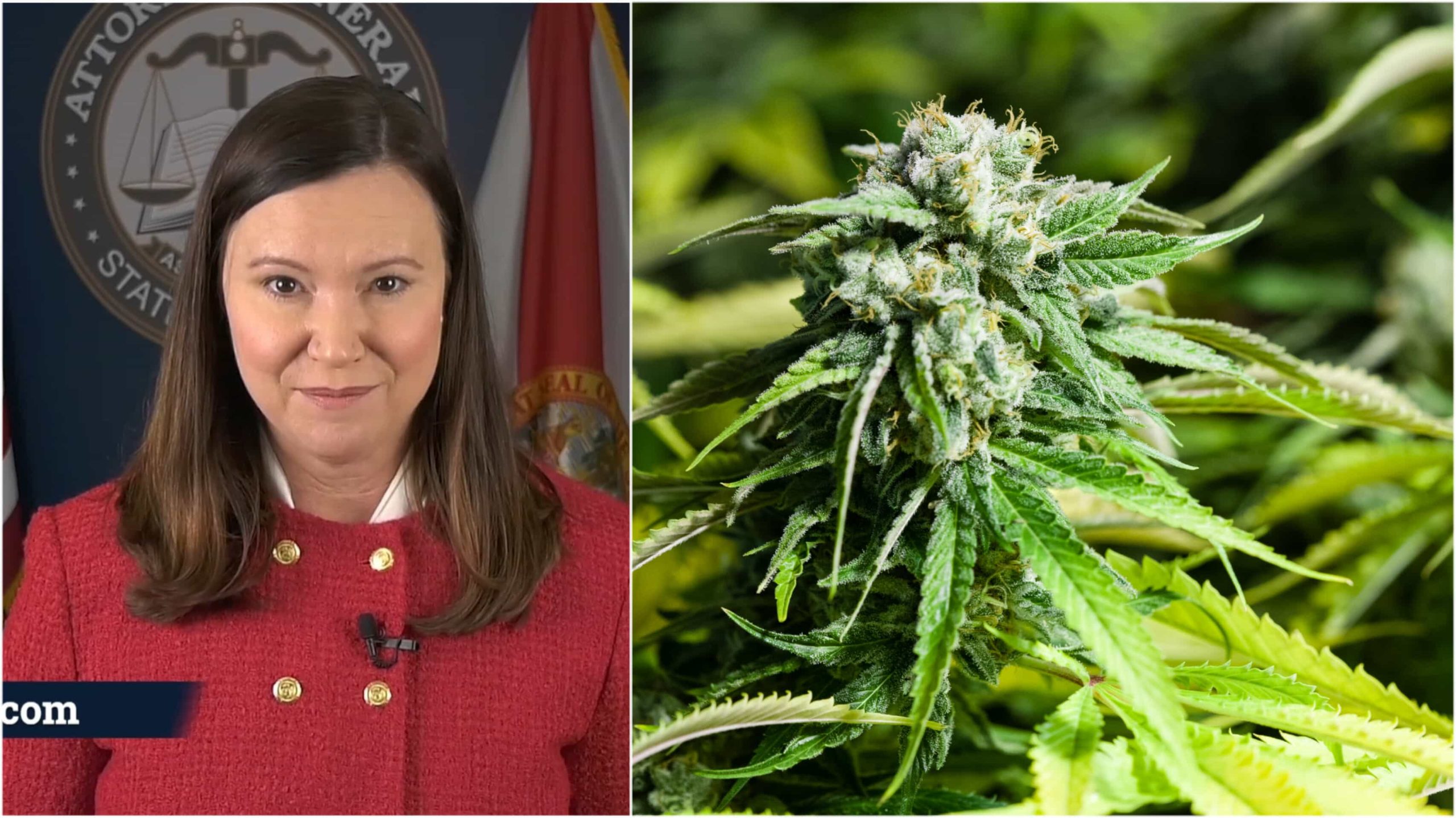 Florida AG Files Challenge to Cannabis Legalization Initiative