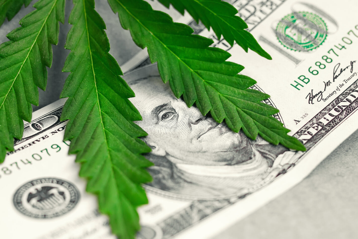 Legal Weed Sales In Minnesota Expected To Hit $1.5 Billion By 2029