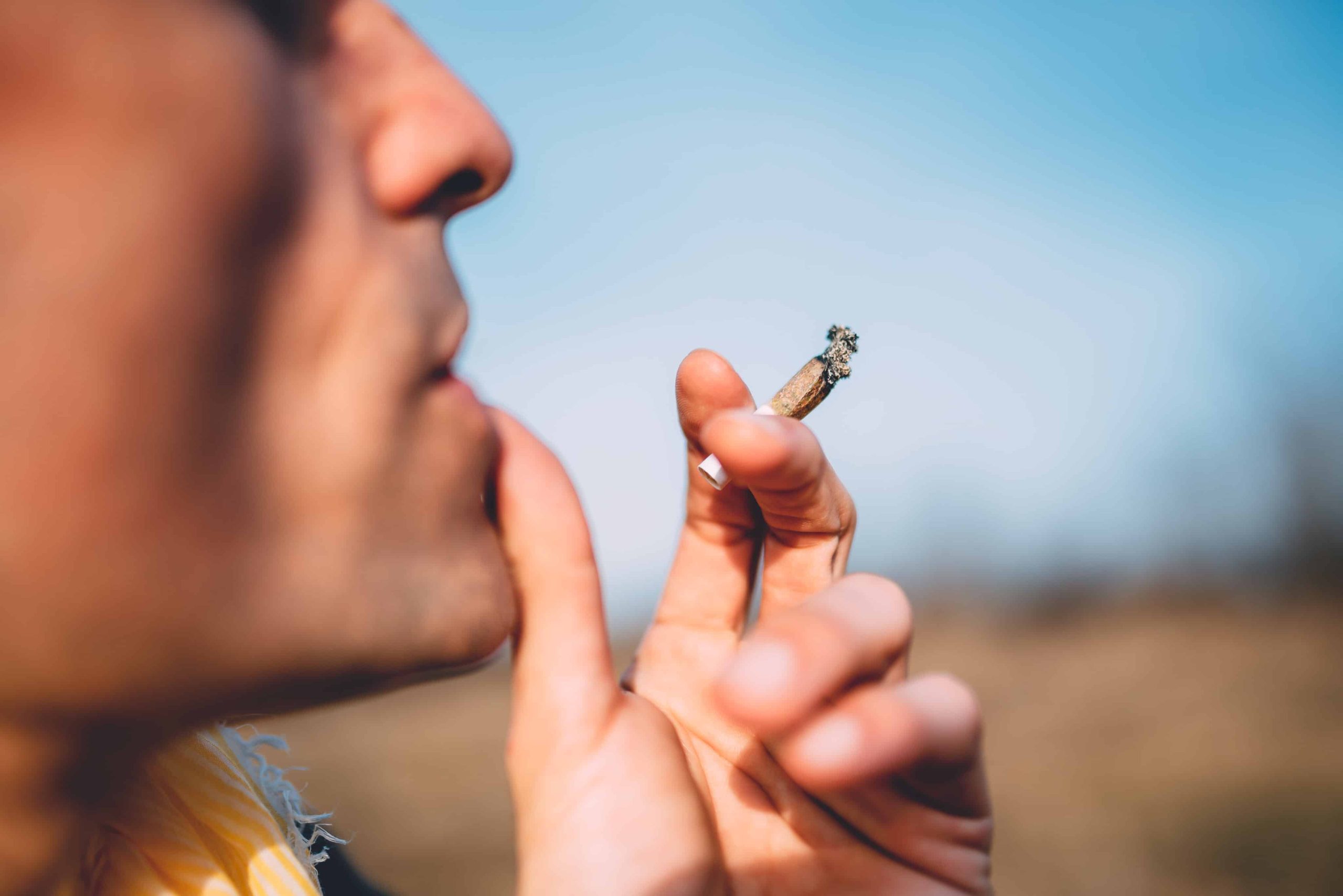 Frequent Pot Users Slimmer than Non-Users, Mouse Study Suggests