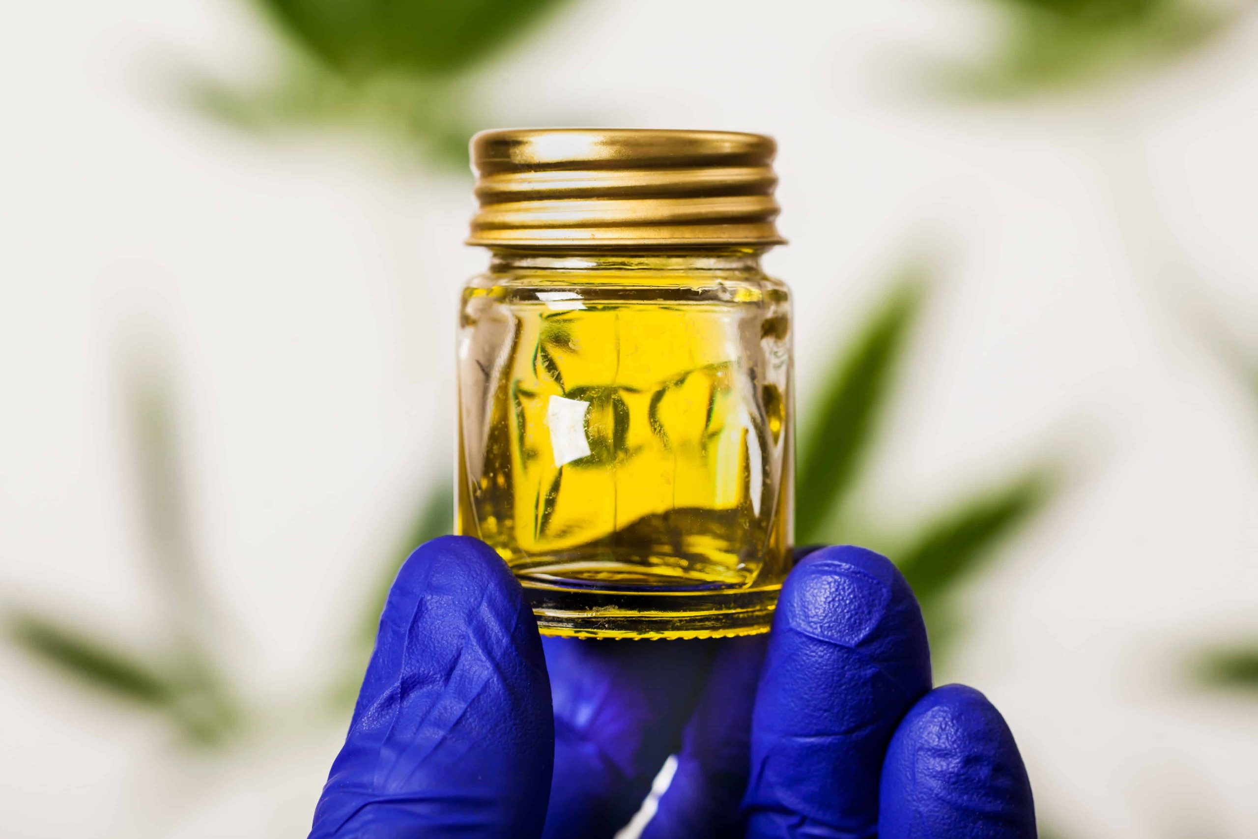 Georgia Clears Way for Independent Pharmacies To Sell Cannabis Oil