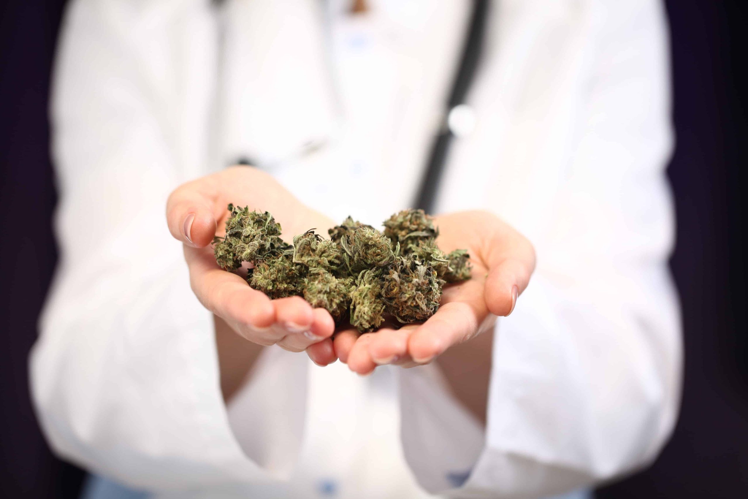 New Hampshire Medical Pot Dispensaries Open Business to Outsiders (Even Canadians!)