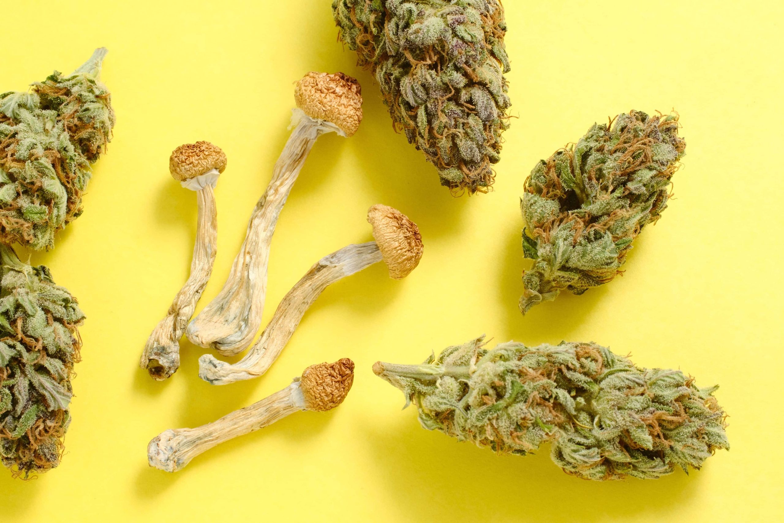 Researchers Aim To Combine Psilocybin and Cannabis Into Single Medical Treatment