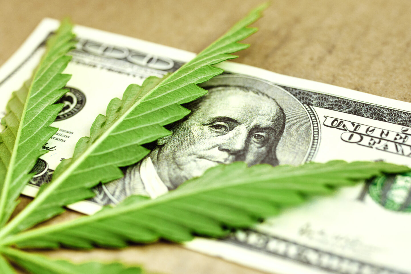 New Mexico Cannabis Jobs Pay More Than Accommodation, Food Service