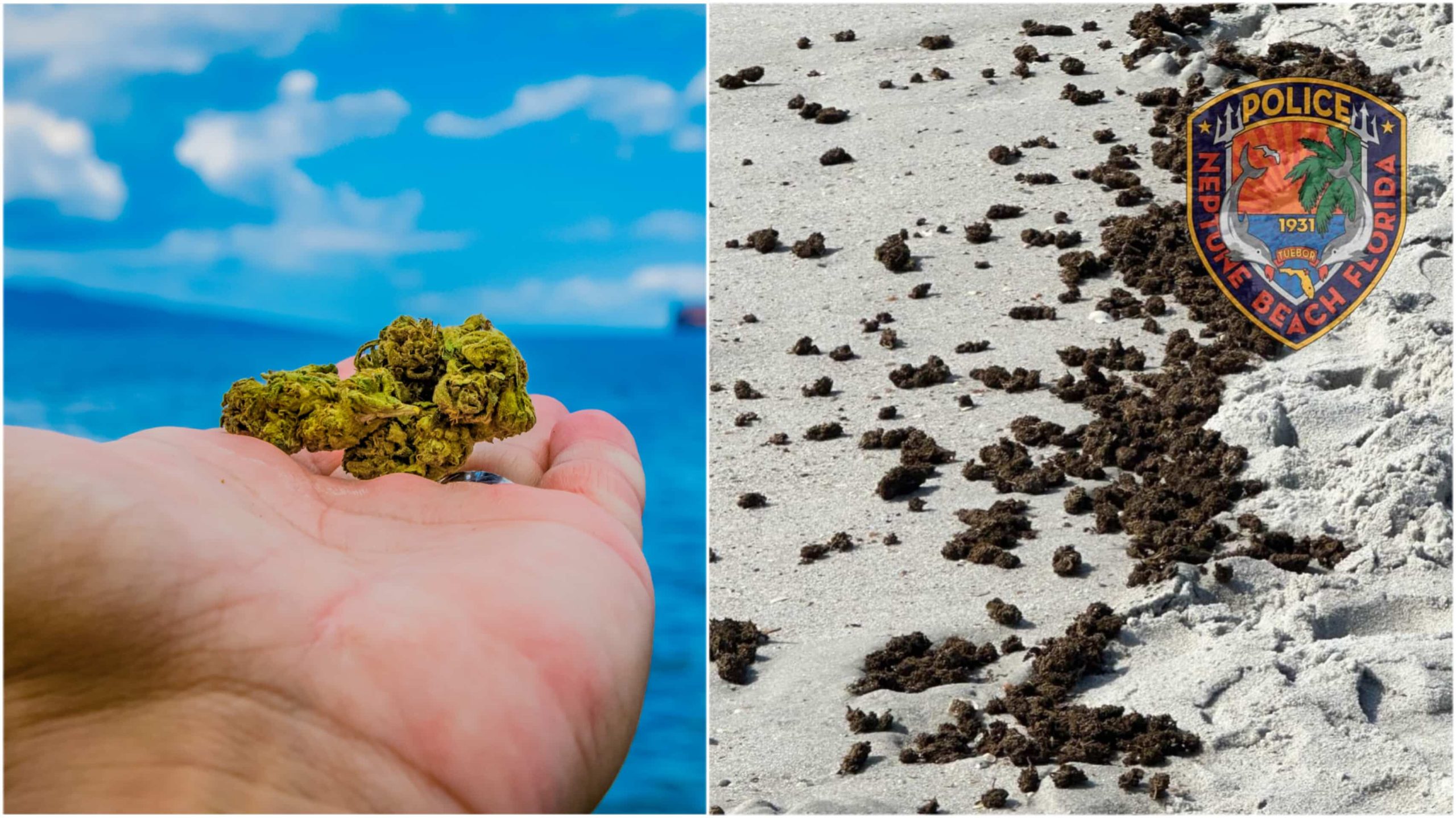 Beach Bud: ‘Large Amount’ of Cannabis Washes Ashore in Florida