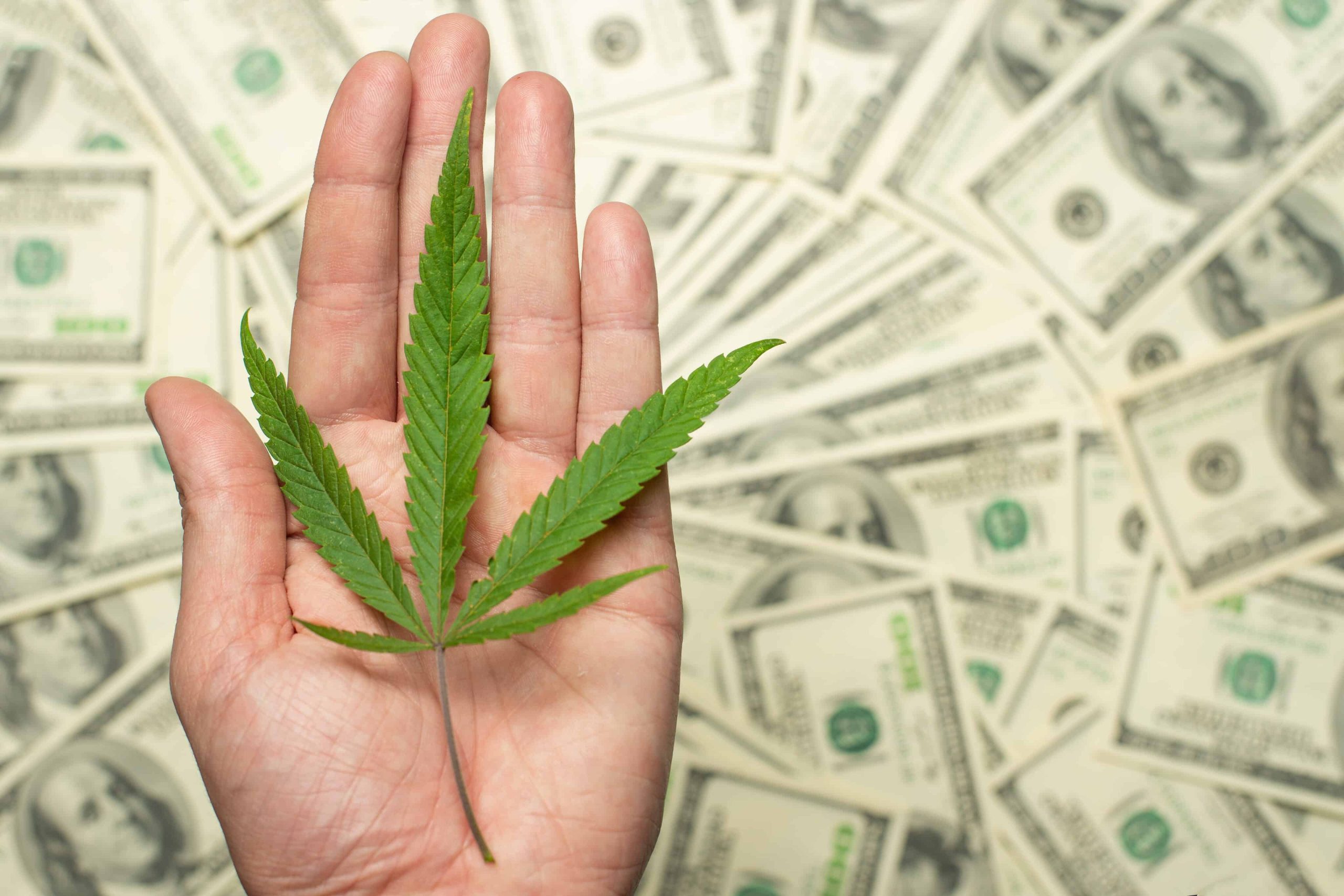 New York Town Owes Nearly $200,000 After Firing Medical Cannabis Patient