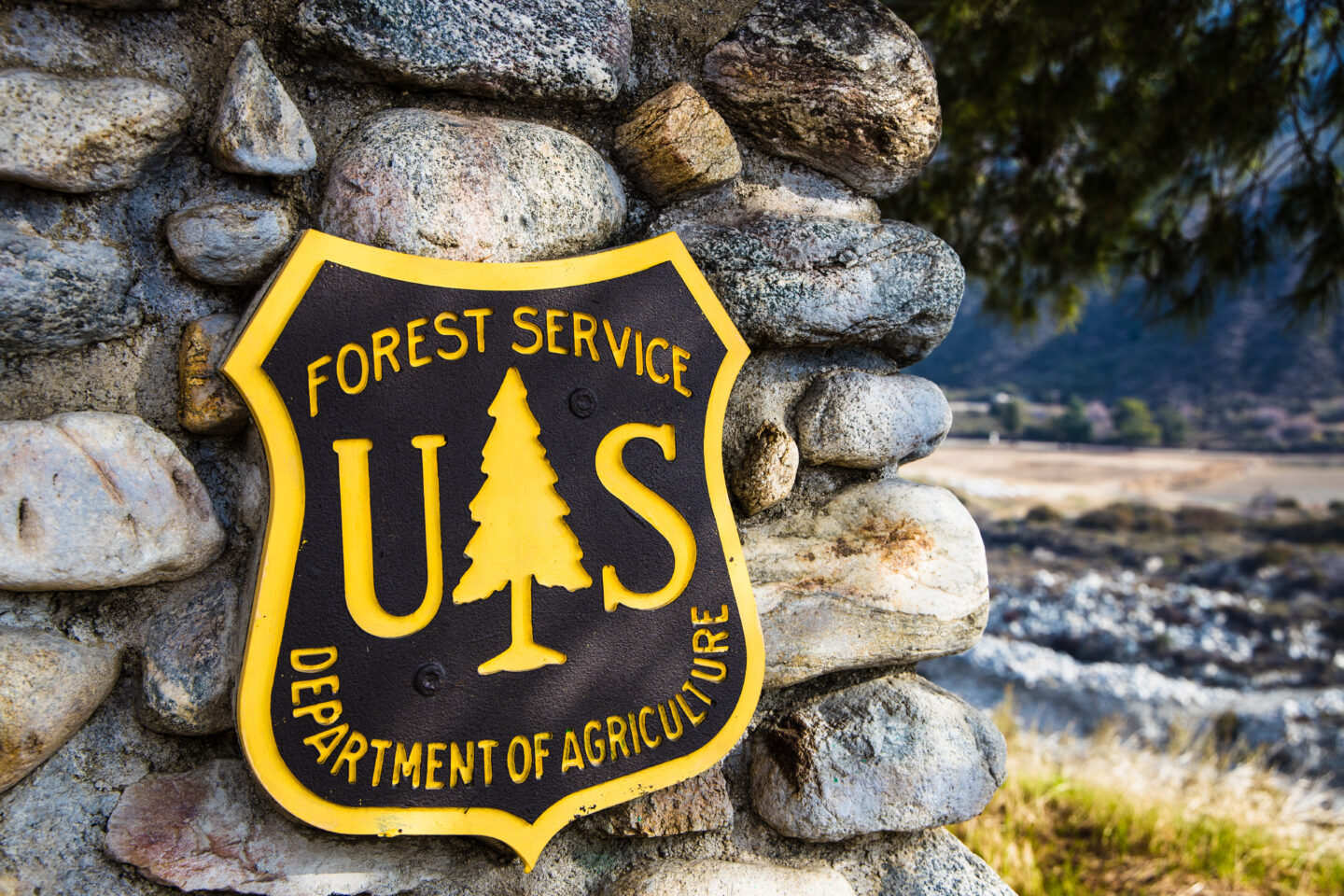 U.S. Forest Service Reminds Employees That They Are Still Subject to Federal Law