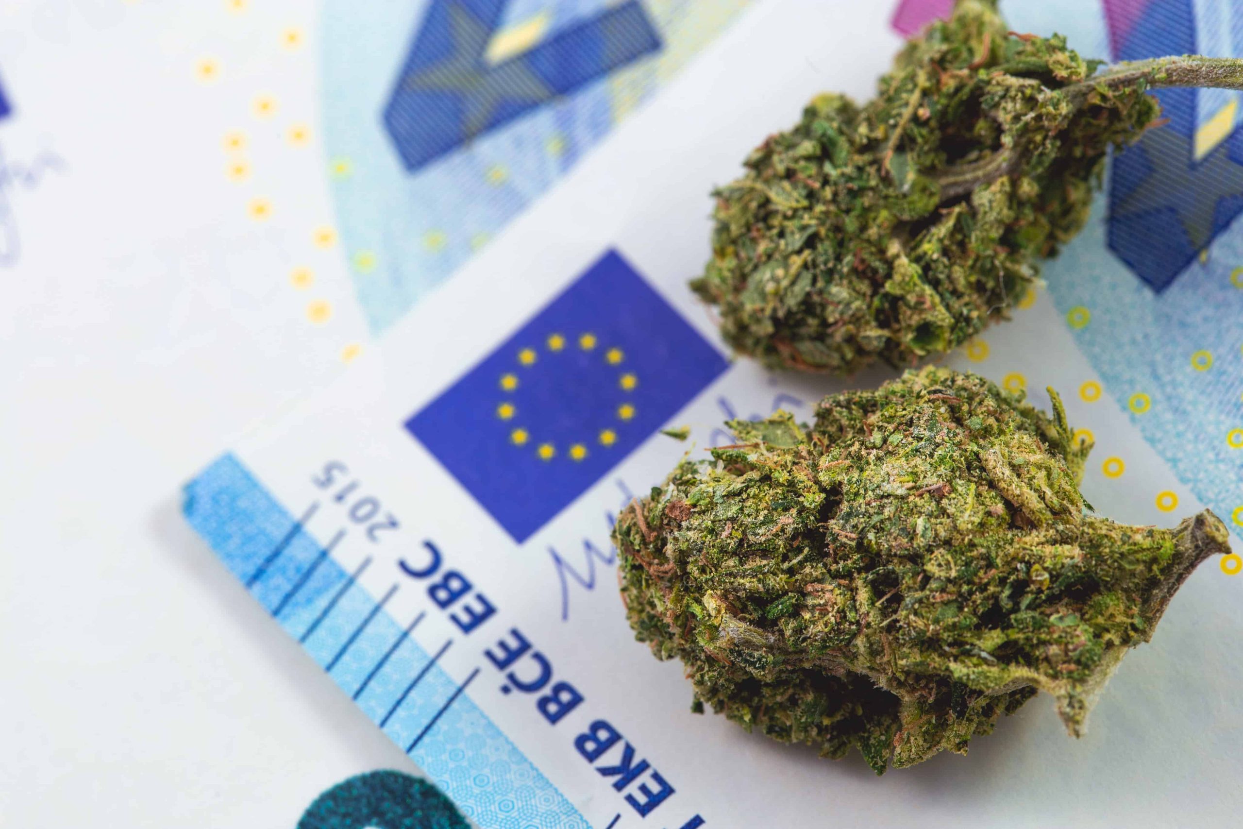 Recent Report Finds Cannabis as Most Used Substance in Europe