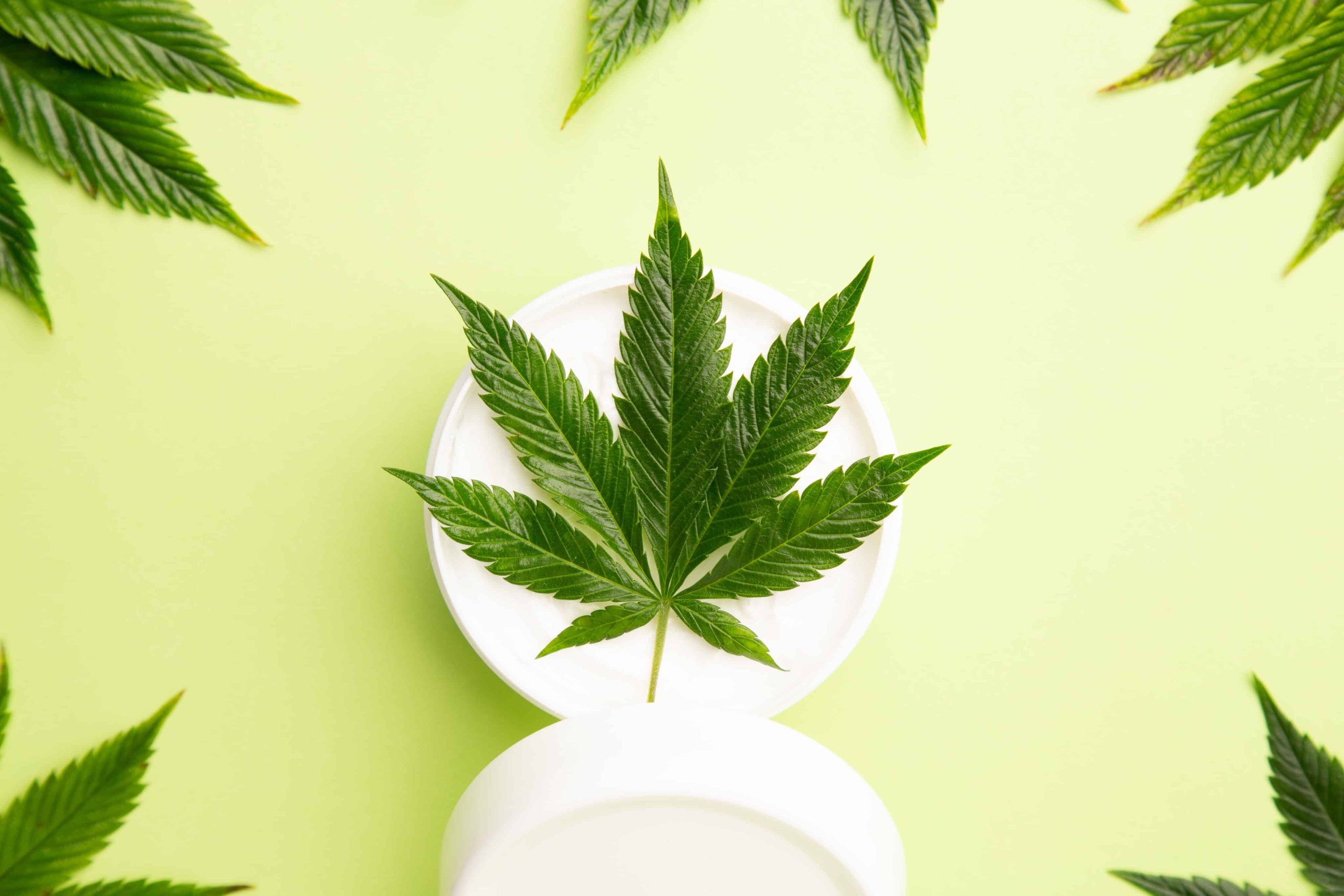 A Balm For Baldness? Study Finds Hemp Topical Solutions May Trigger Hair Growth