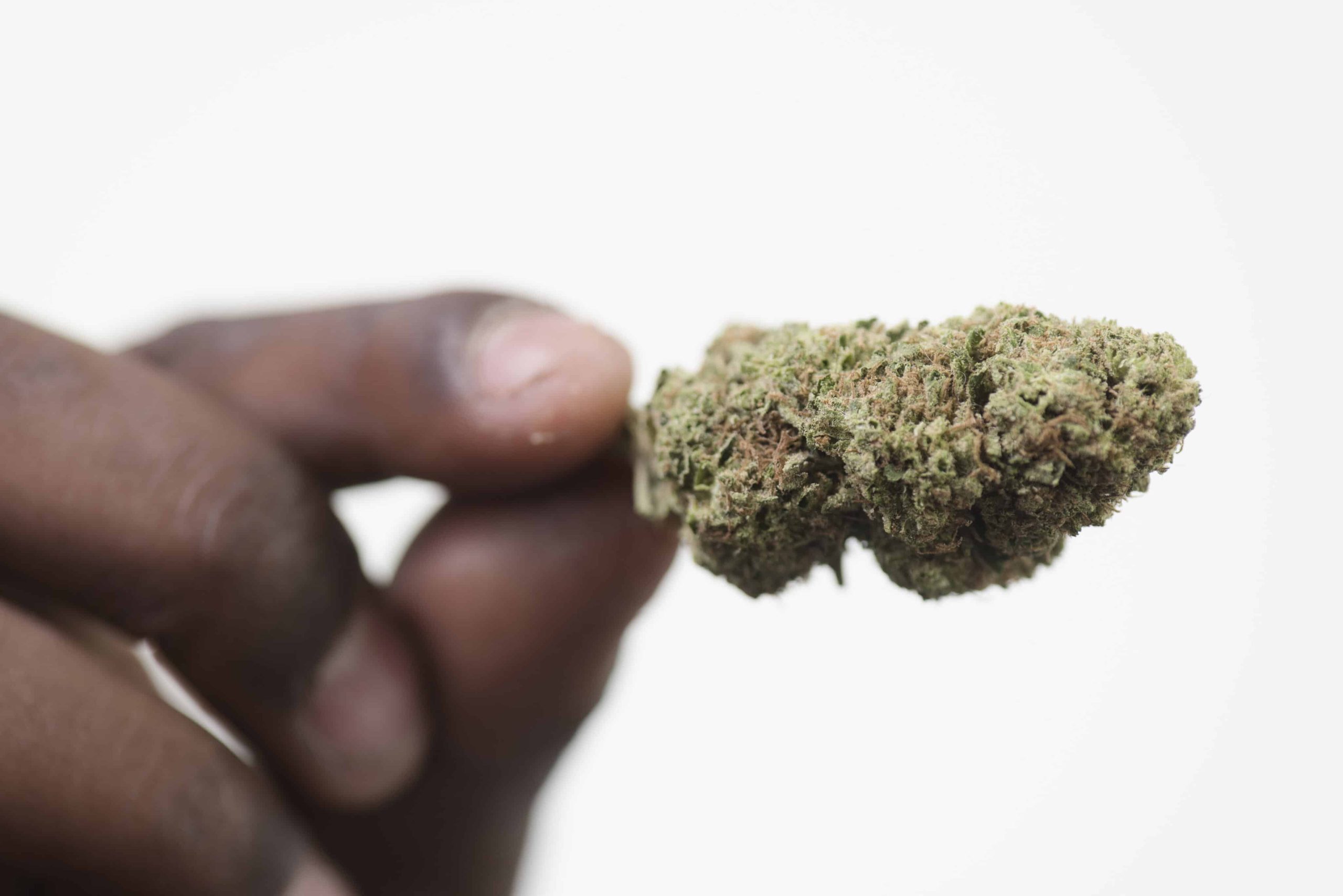 New York Cannabis Social Equity Fund Secures $150 Million Investment