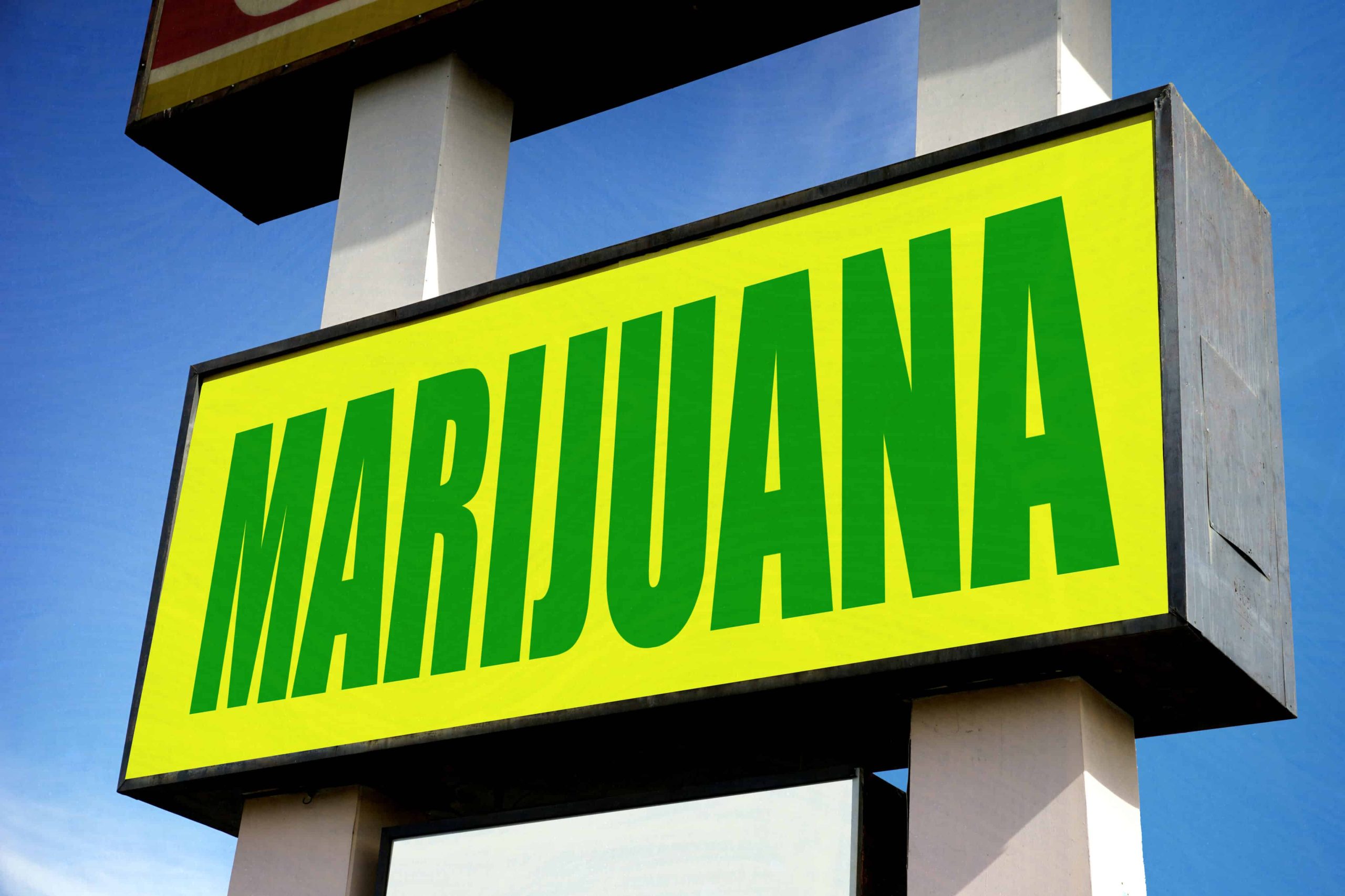 New York Judge Pauses Cannabis Dispensary Licensing