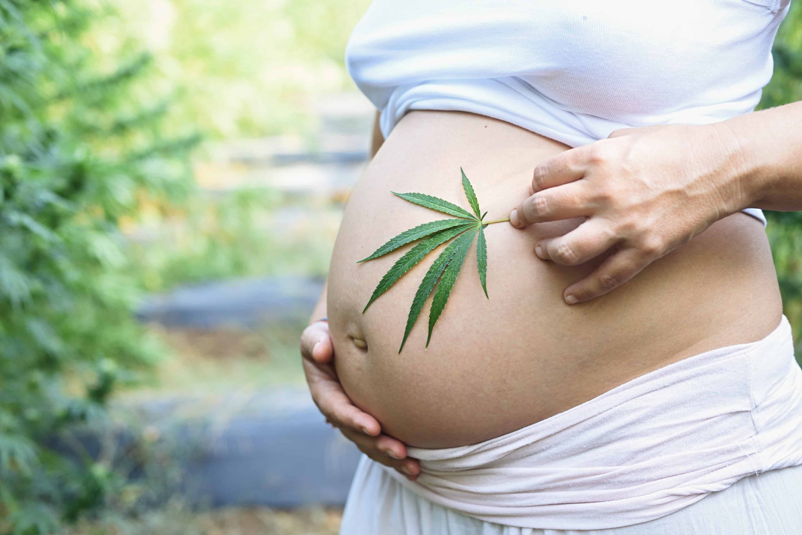 Study: Cannabis Use During Pregnancy May Lead to Low Birth Weight, Preterm Birth