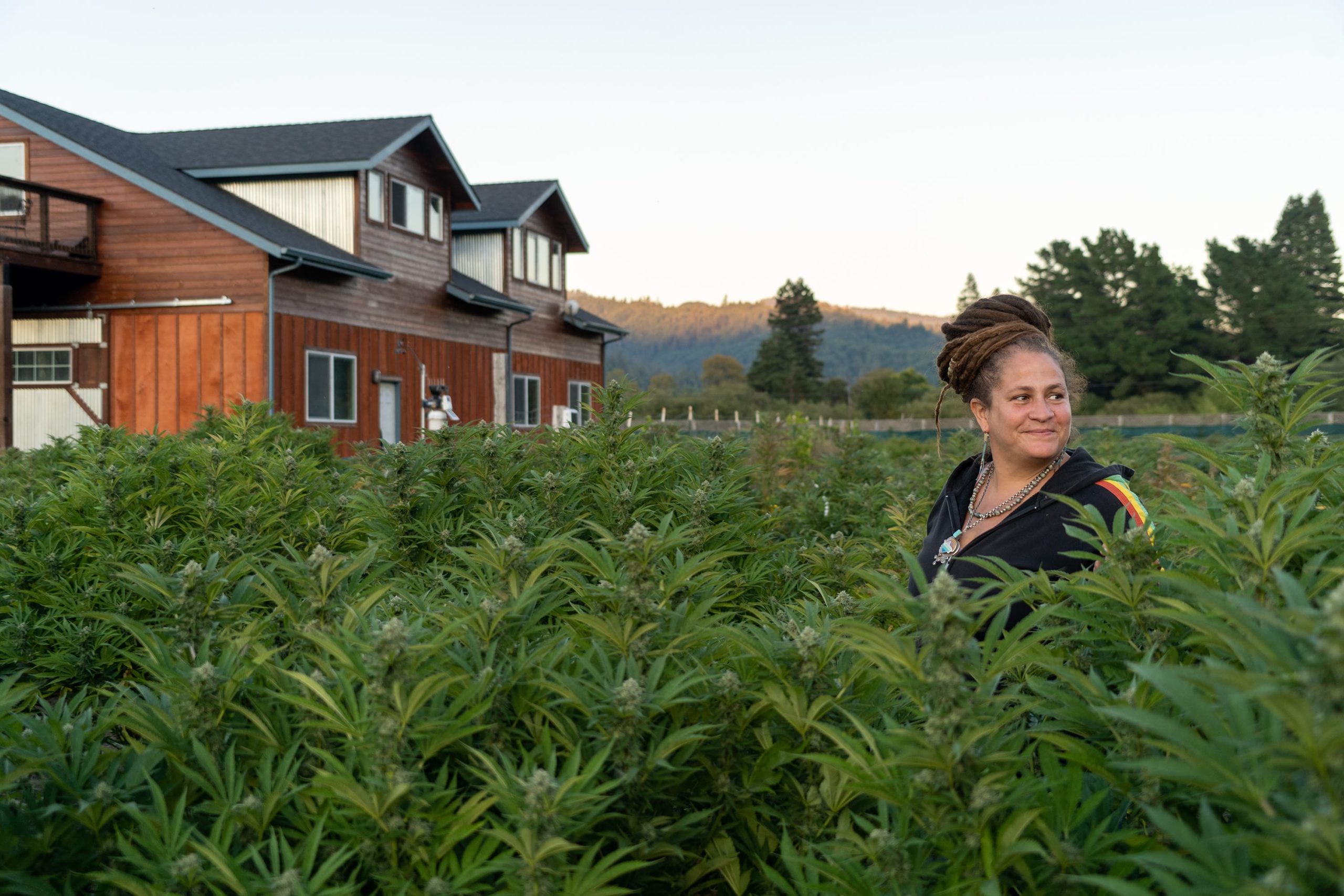 Dry Farming in Humboldt