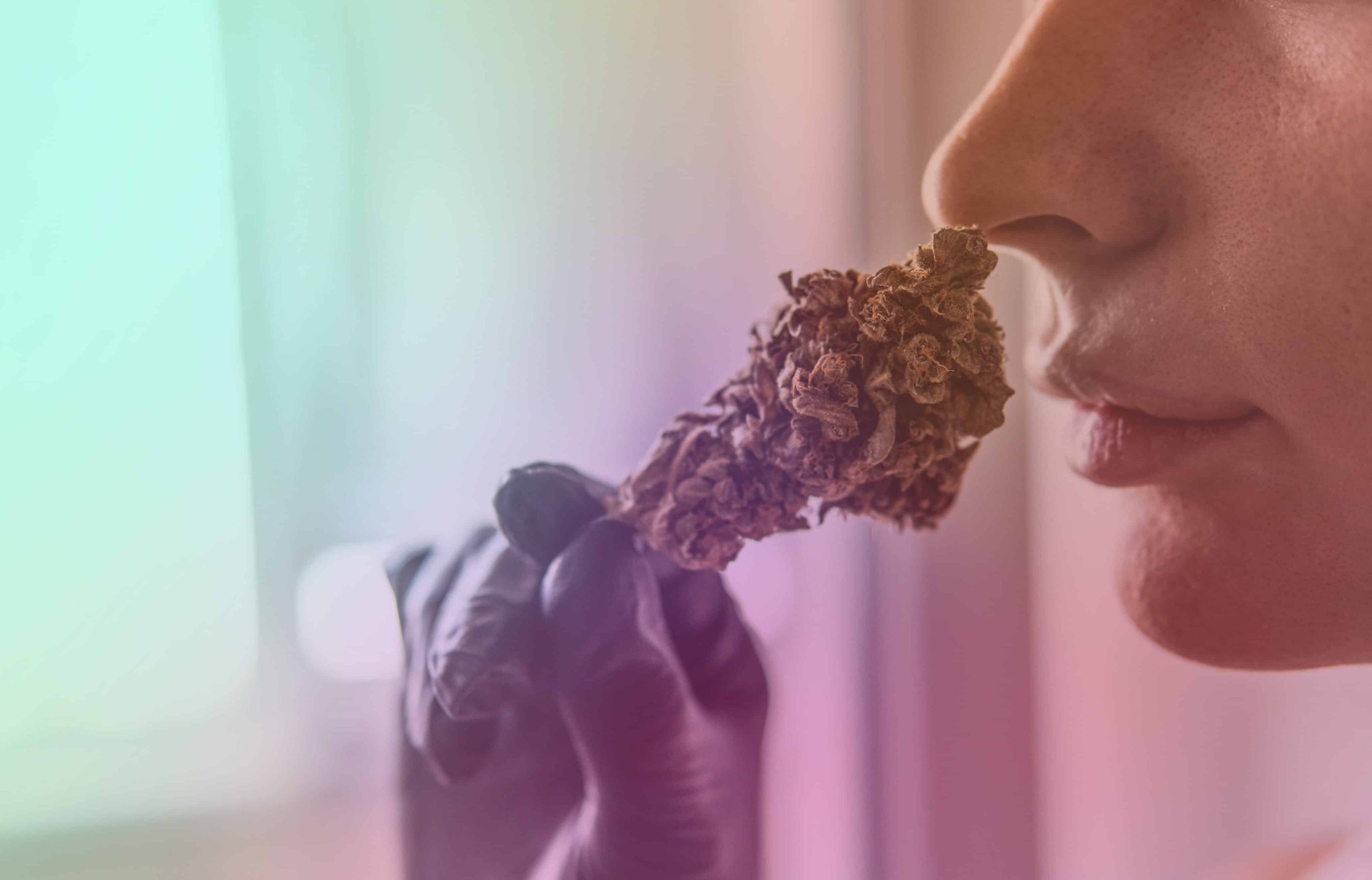 Five Ways To Boost Your Endocannabinoid System