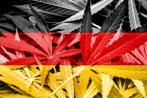 Germany legalizes Cannabis use